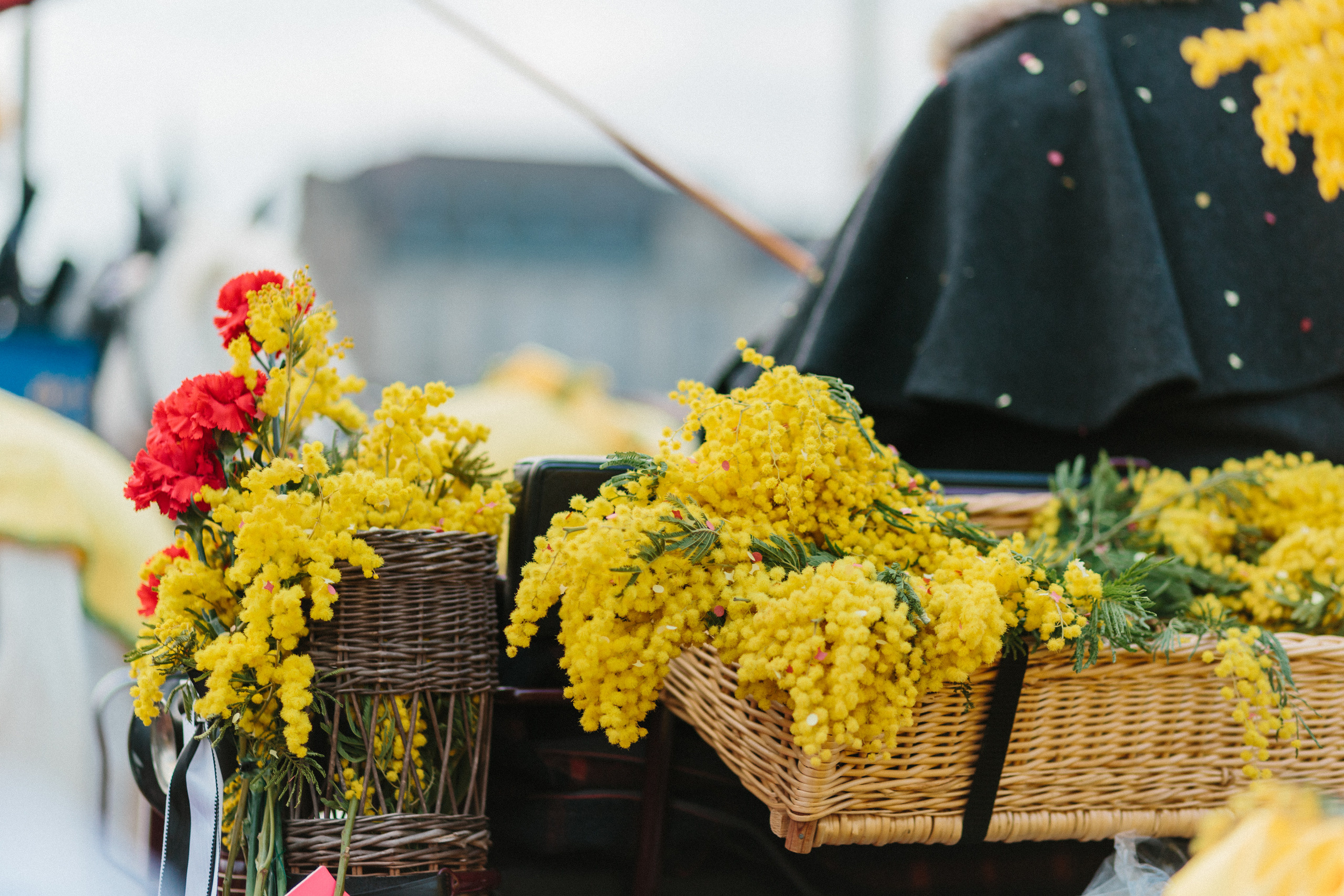 Basler Fasnacht. Maria Chistyakovа — Fotografin in Karlsruhe, Baden-Baden und Umgebung