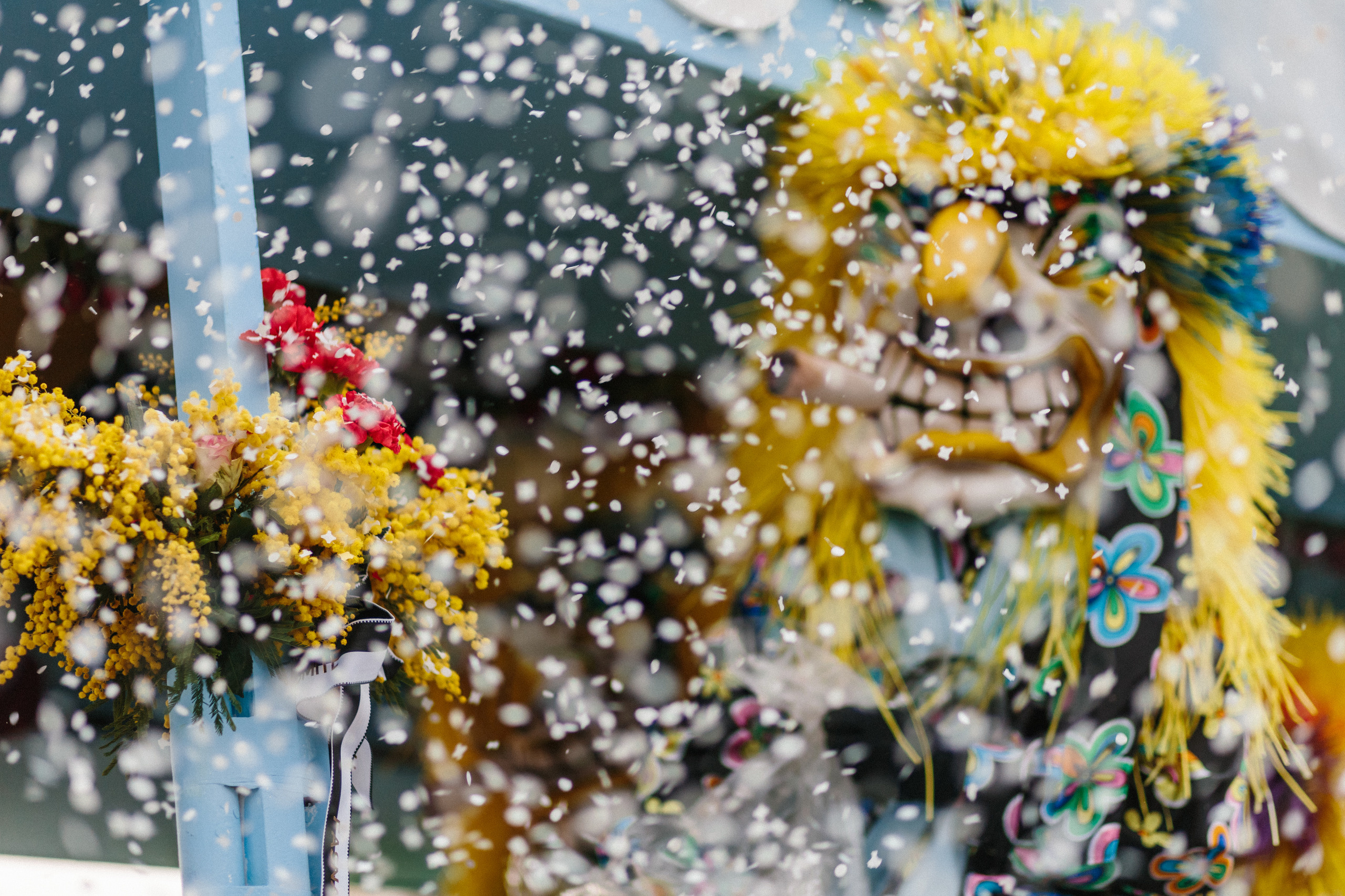 Basler Fasnacht. Maria Chistyakovа — Fotografin in Karlsruhe, Baden-Baden und Umgebung