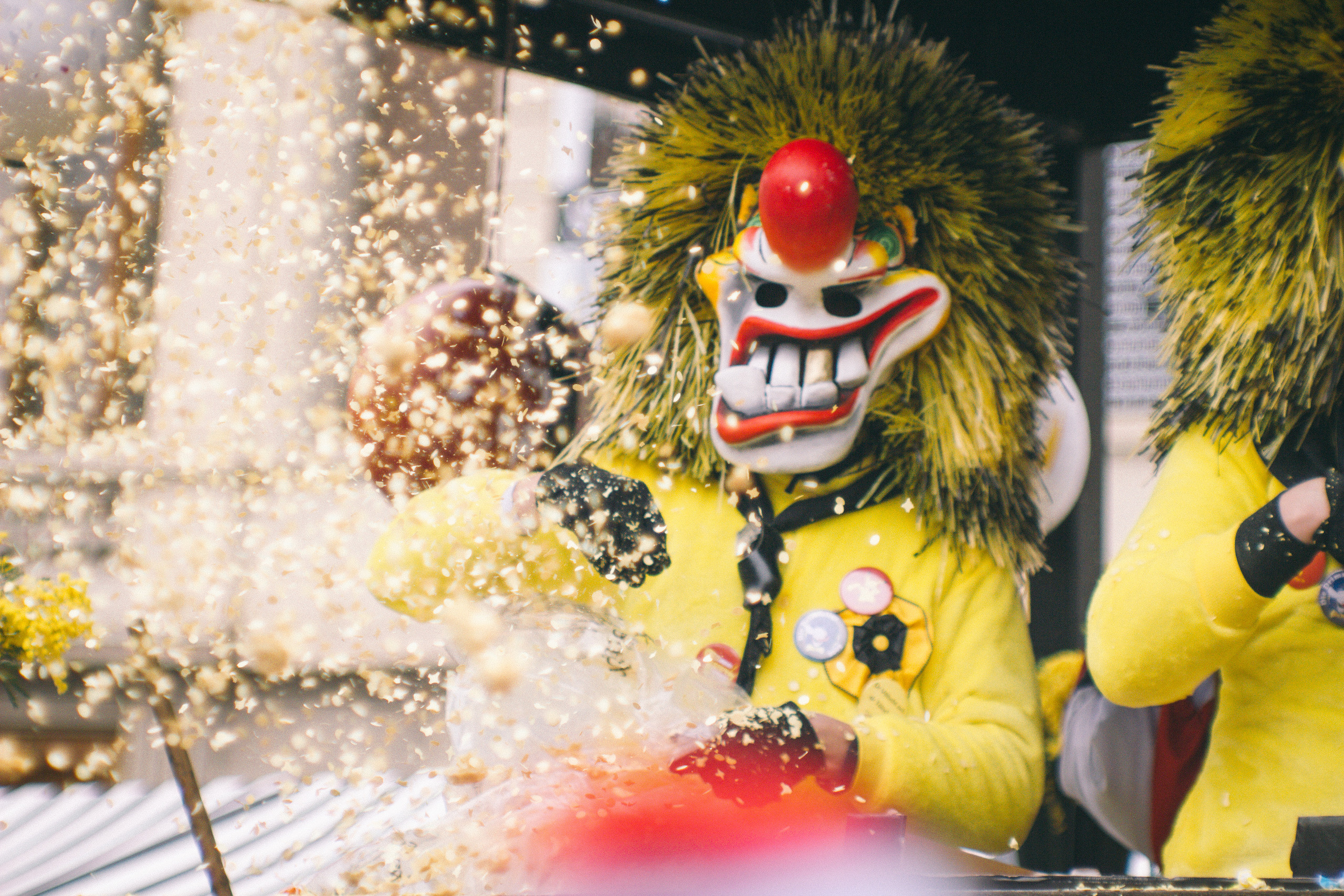 Basler Fasnacht. Maria Chistyakovа — Fotografin in Karlsruhe, Baden-Baden und Umgebung