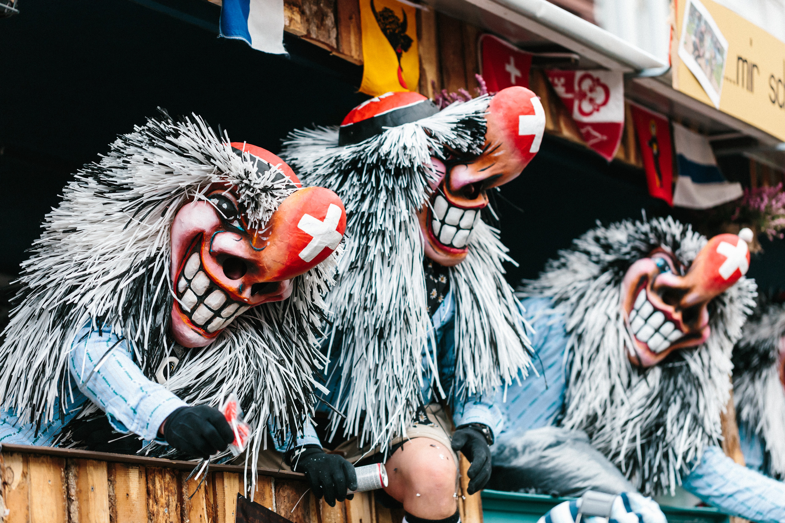 Basler Fasnacht. Maria Chistyakovа — Fotografin in Karlsruhe, Baden-Baden und Umgebung