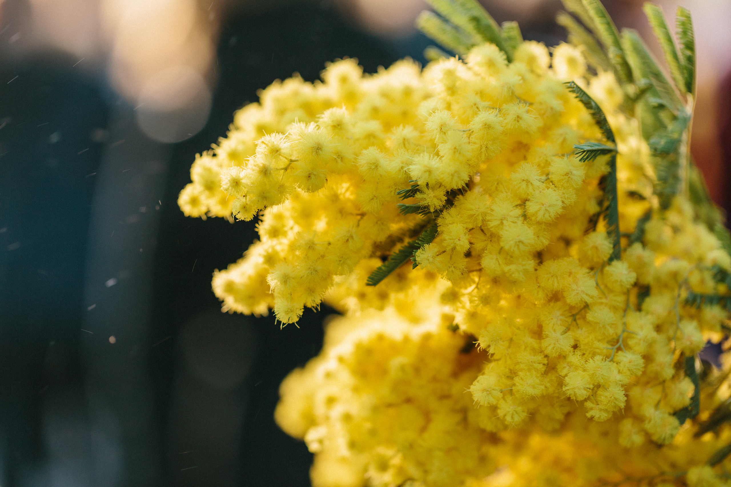 Basler Fasnacht. Maria Chistyakovа — Fotografin in Karlsruhe, Baden-Baden und Umgebung