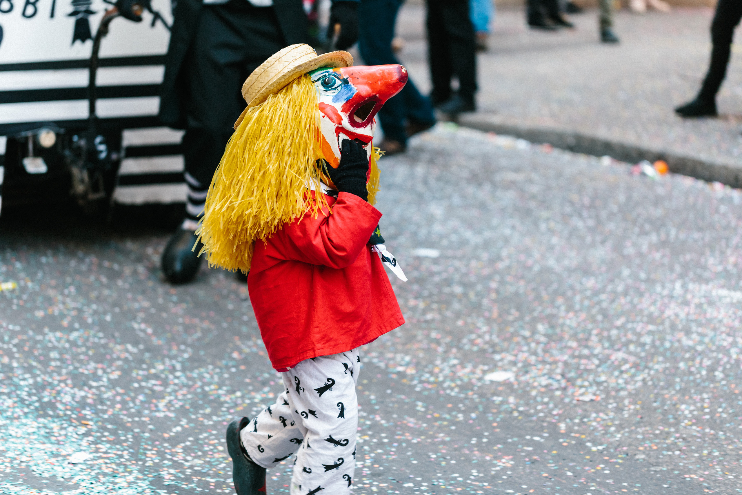 Basler Fasnacht. Maria Chistyakovа — Fotografin in Karlsruhe, Baden-Baden und Umgebung