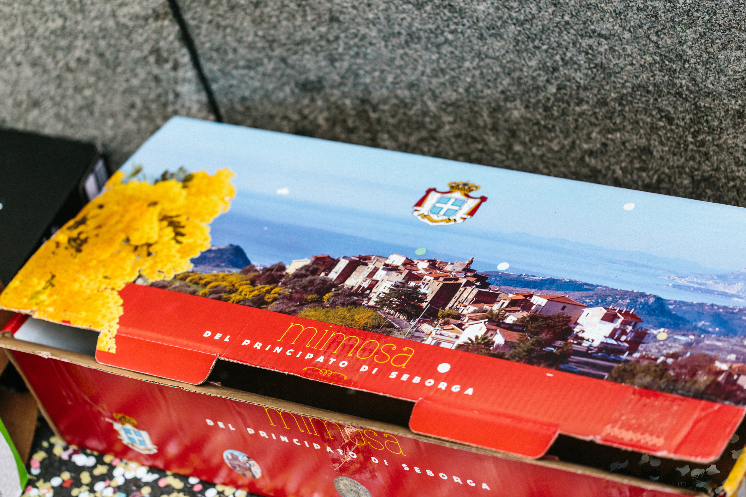 Basler Fasnacht. Maria Chistyakovа — Fotografin in Karlsruhe, Baden-Baden und Umgebung