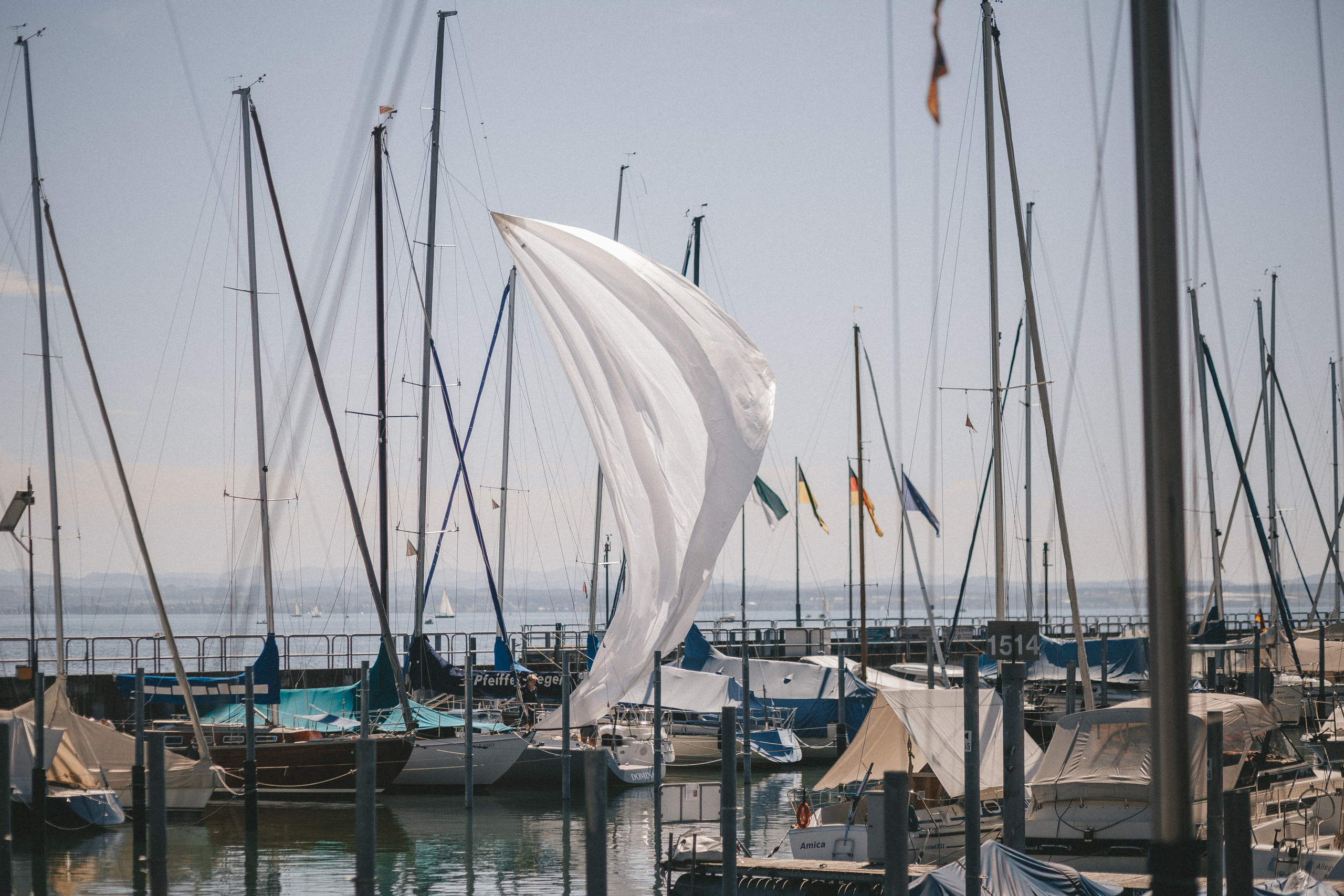 Bodensee im Juli. Maria Chistyakovа — Fotografin in Karlsruhe, Baden-Baden und Umgebung
