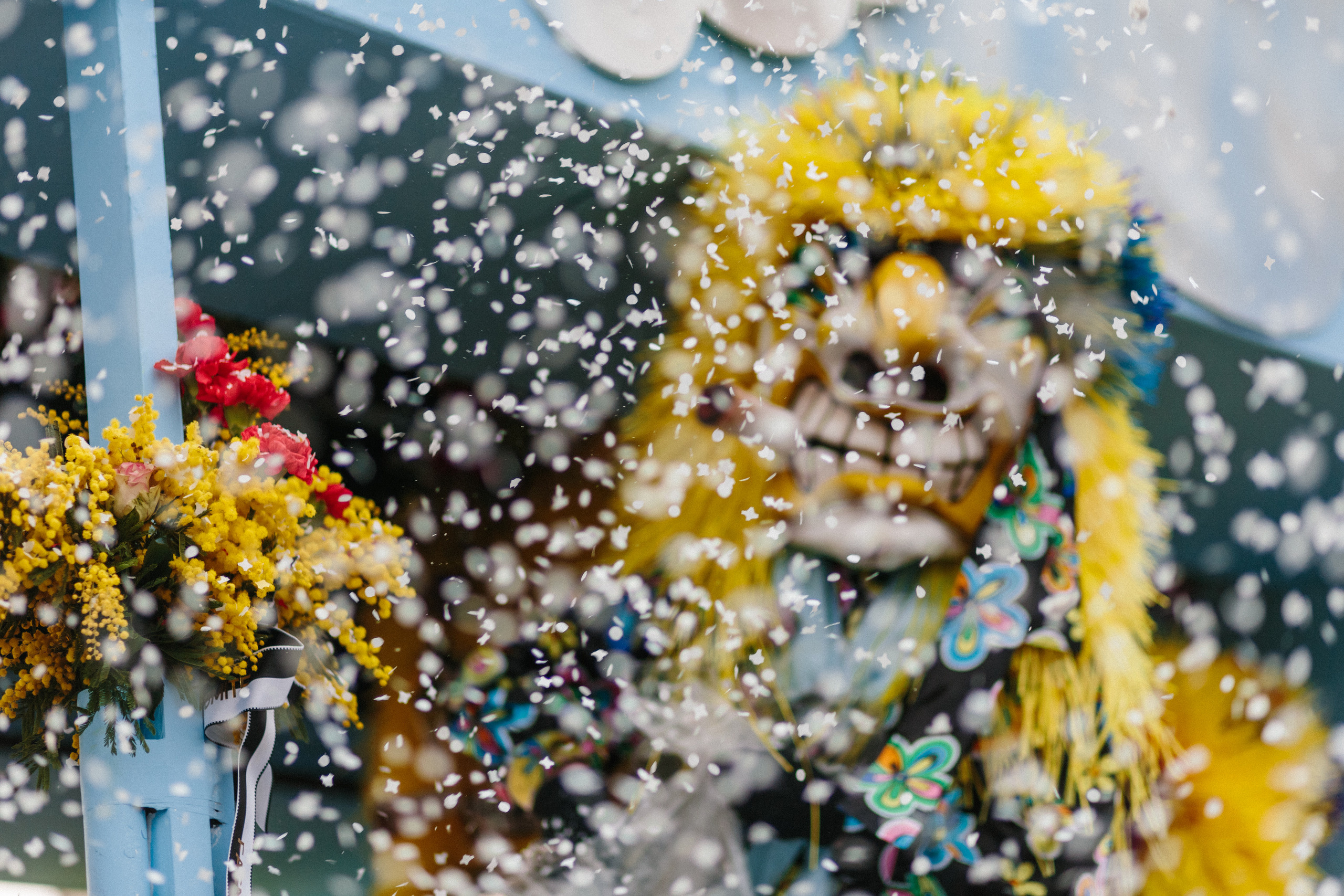 Basler Fasnacht. Maria Chistyakovа — Fotografin in Karlsruhe, Baden-Baden und Umgebung