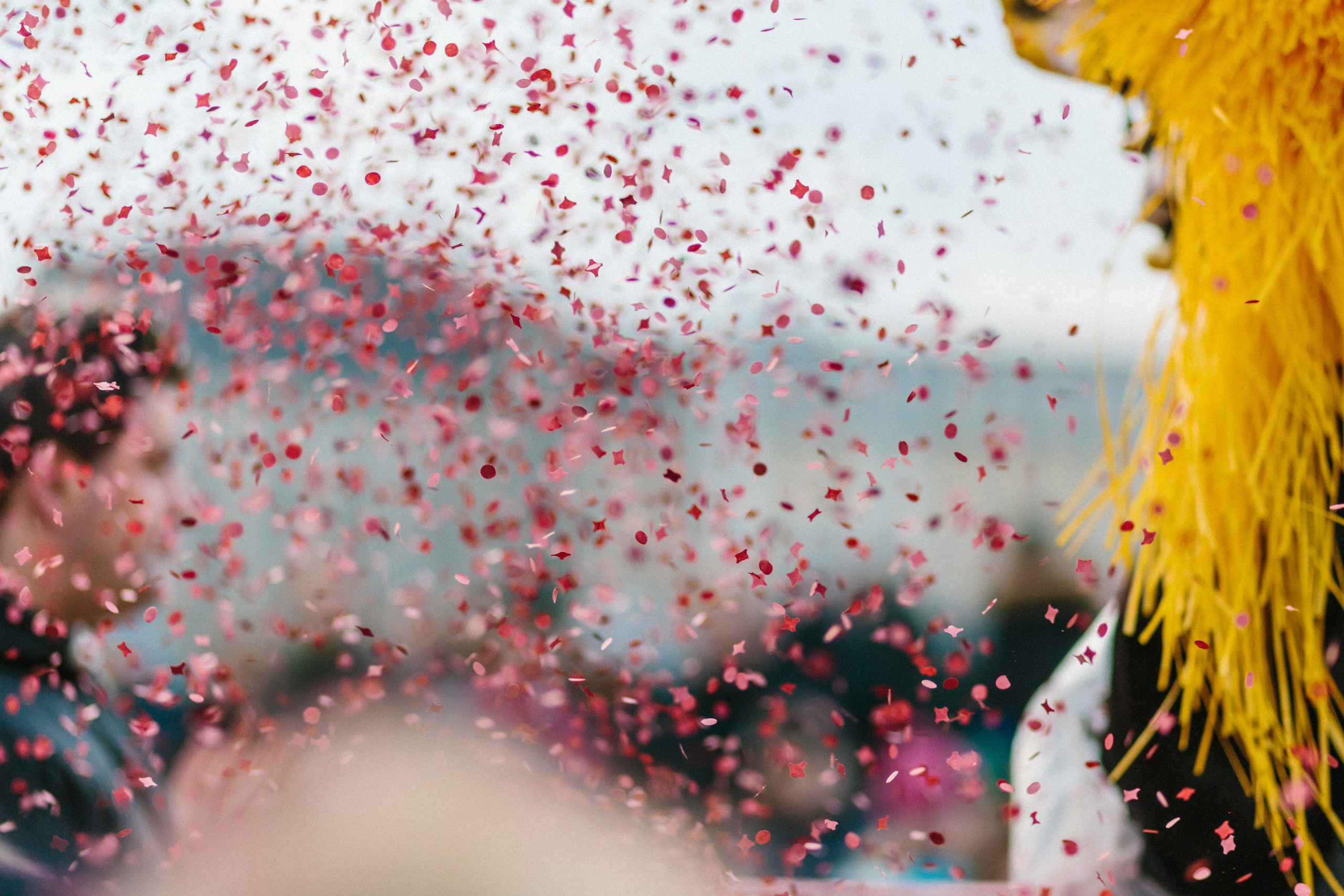 Basler Fasnacht. Maria Chistyakovа — Fotografin in Karlsruhe, Baden-Baden und Umgebung