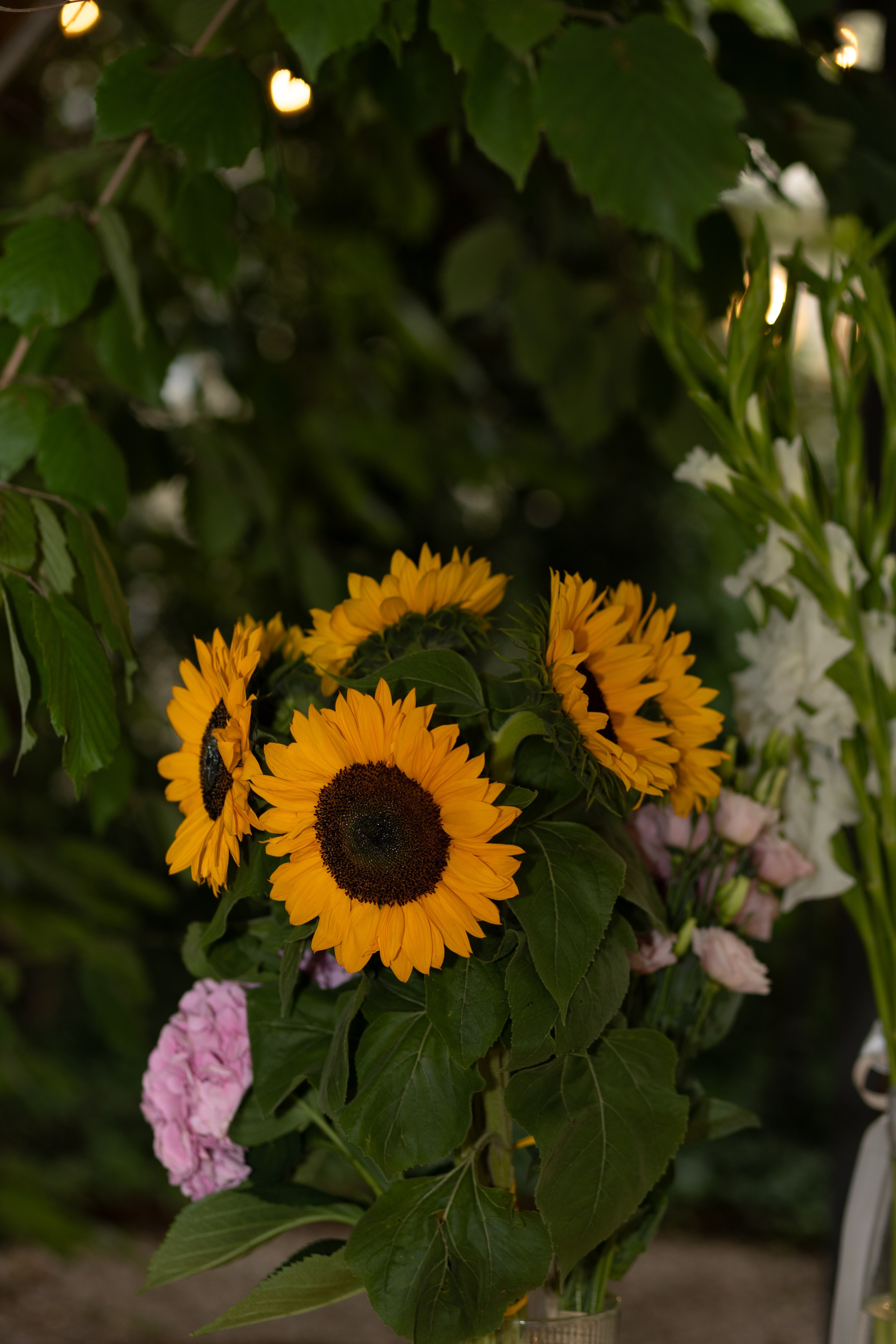 Наталья 04.08.2025. Семейный и детский фотограф в Варшаве Мила Бобровская