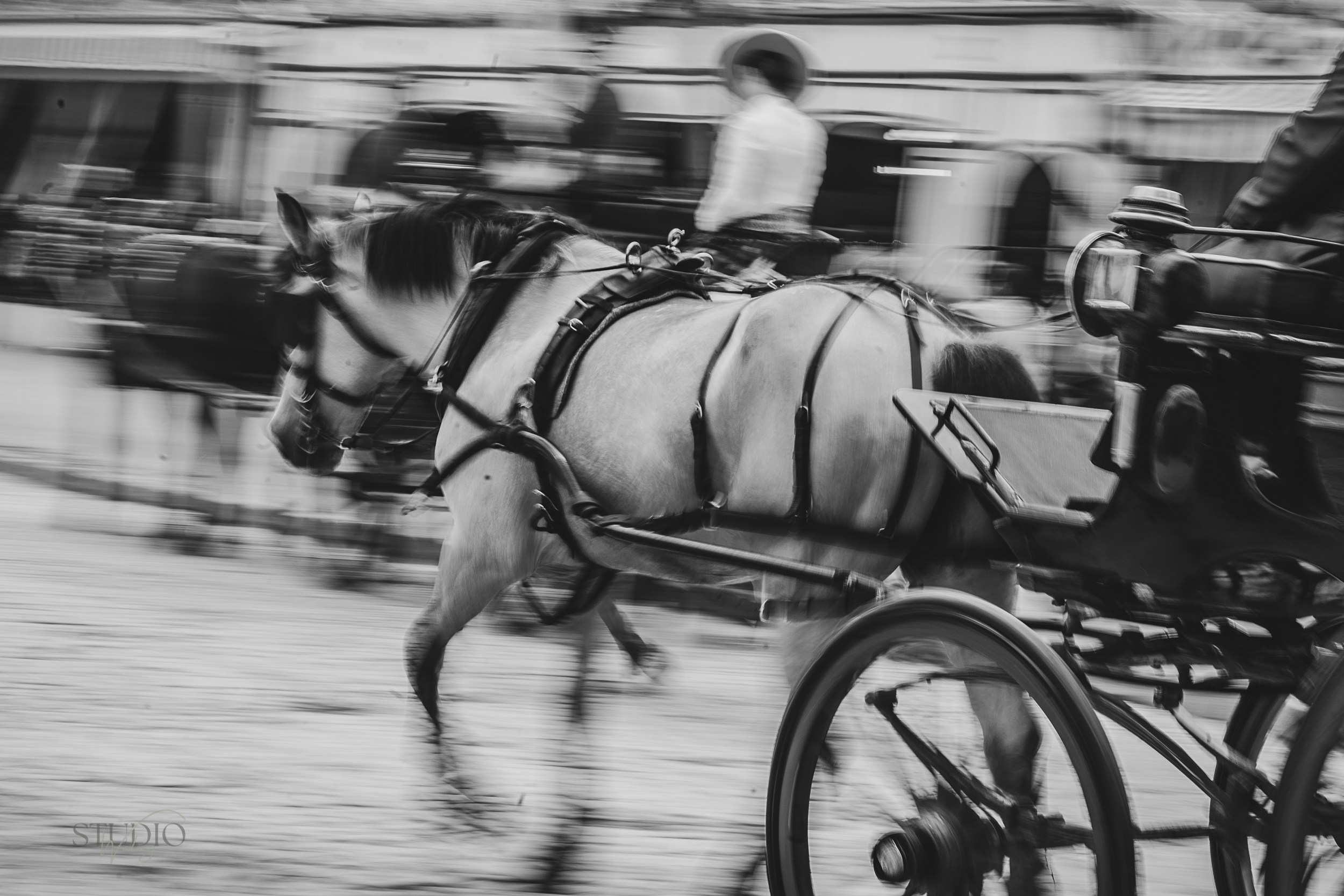 Sesión de fotos en feria de Abril de Sevilla. Inicio