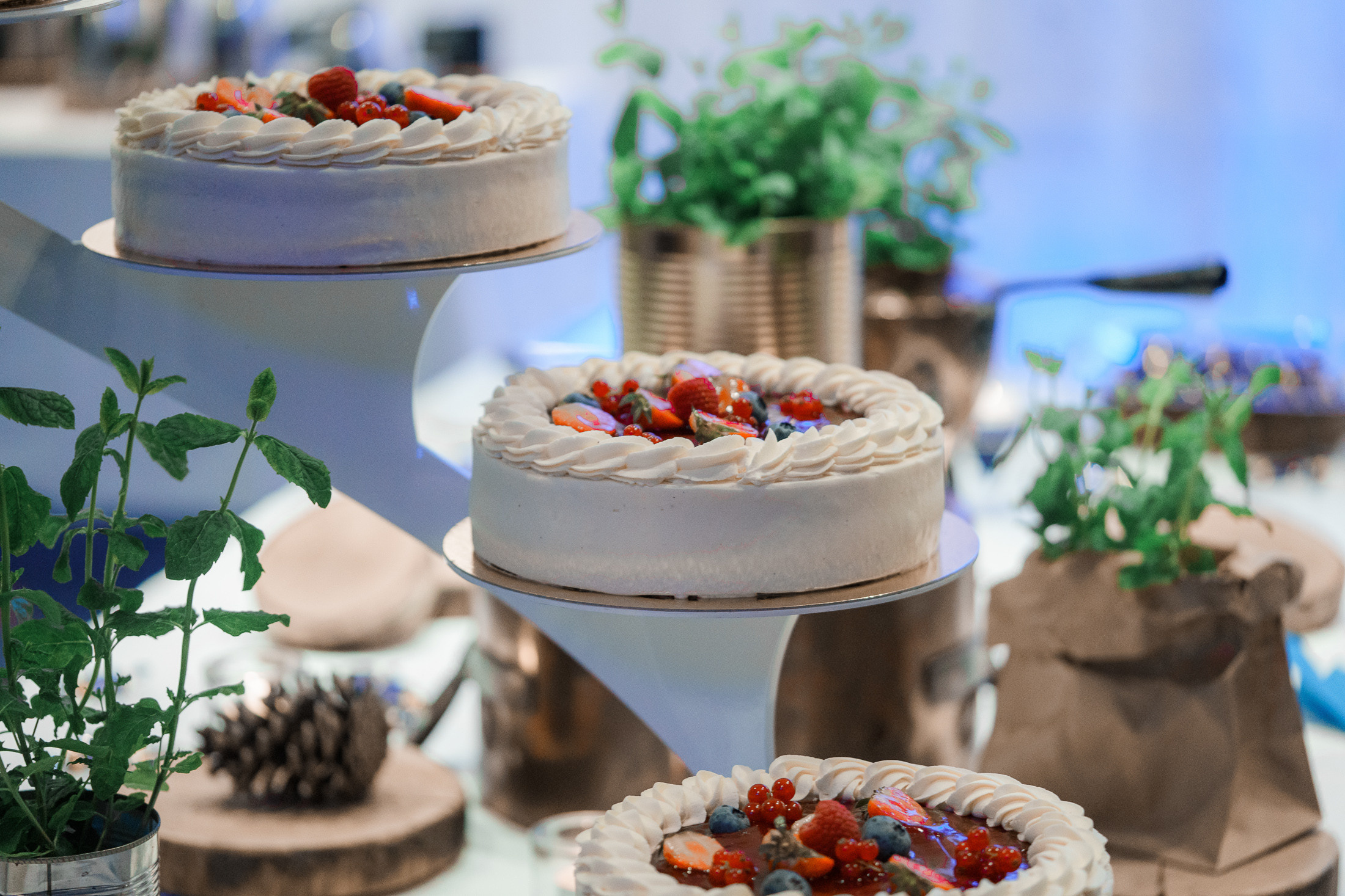 O&A, hääkuvaaja Helsinki, Johanneksen kirkko ja Radisson Blu Royal