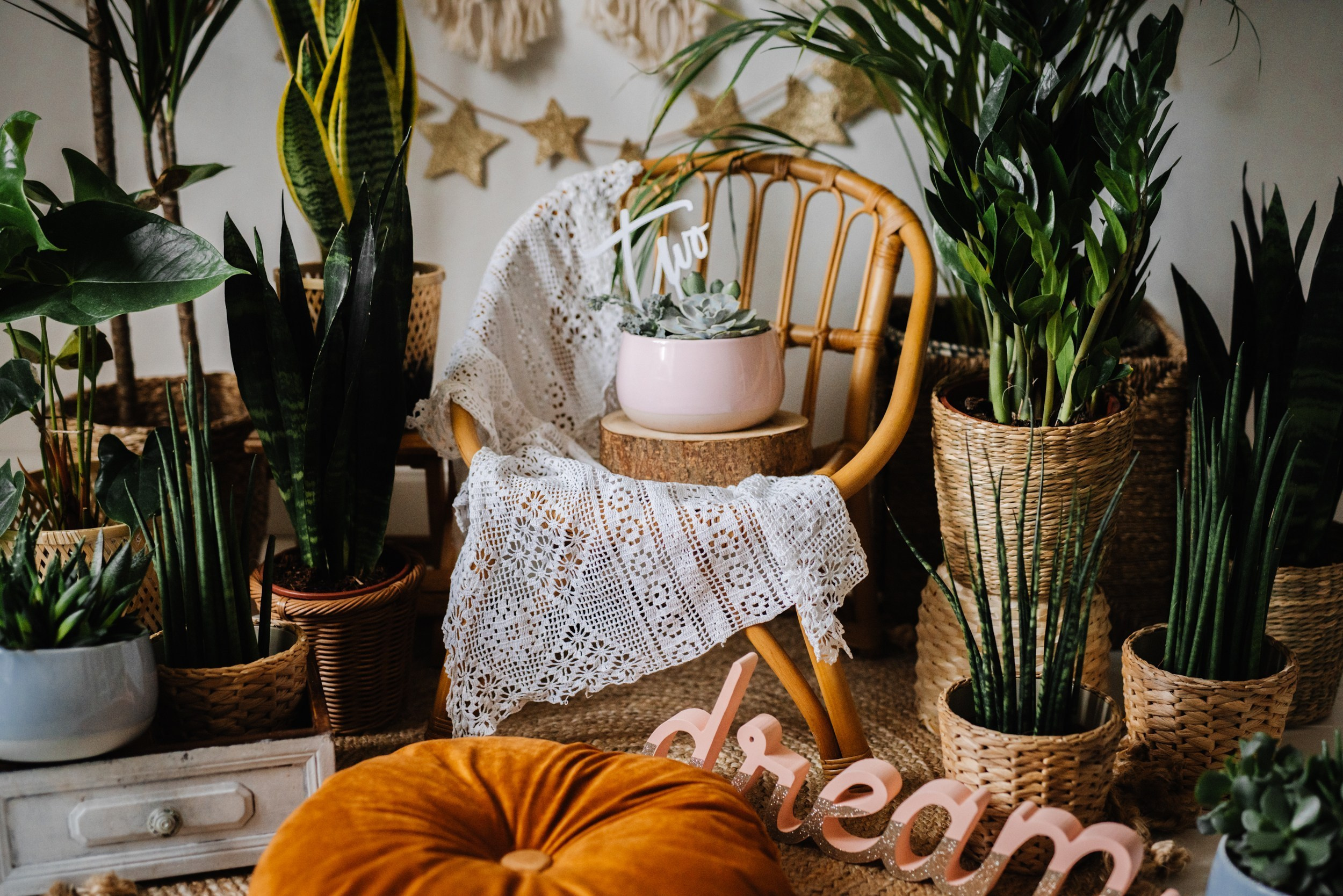 Smash cake. Svitlana Miahka fotografa a Genova