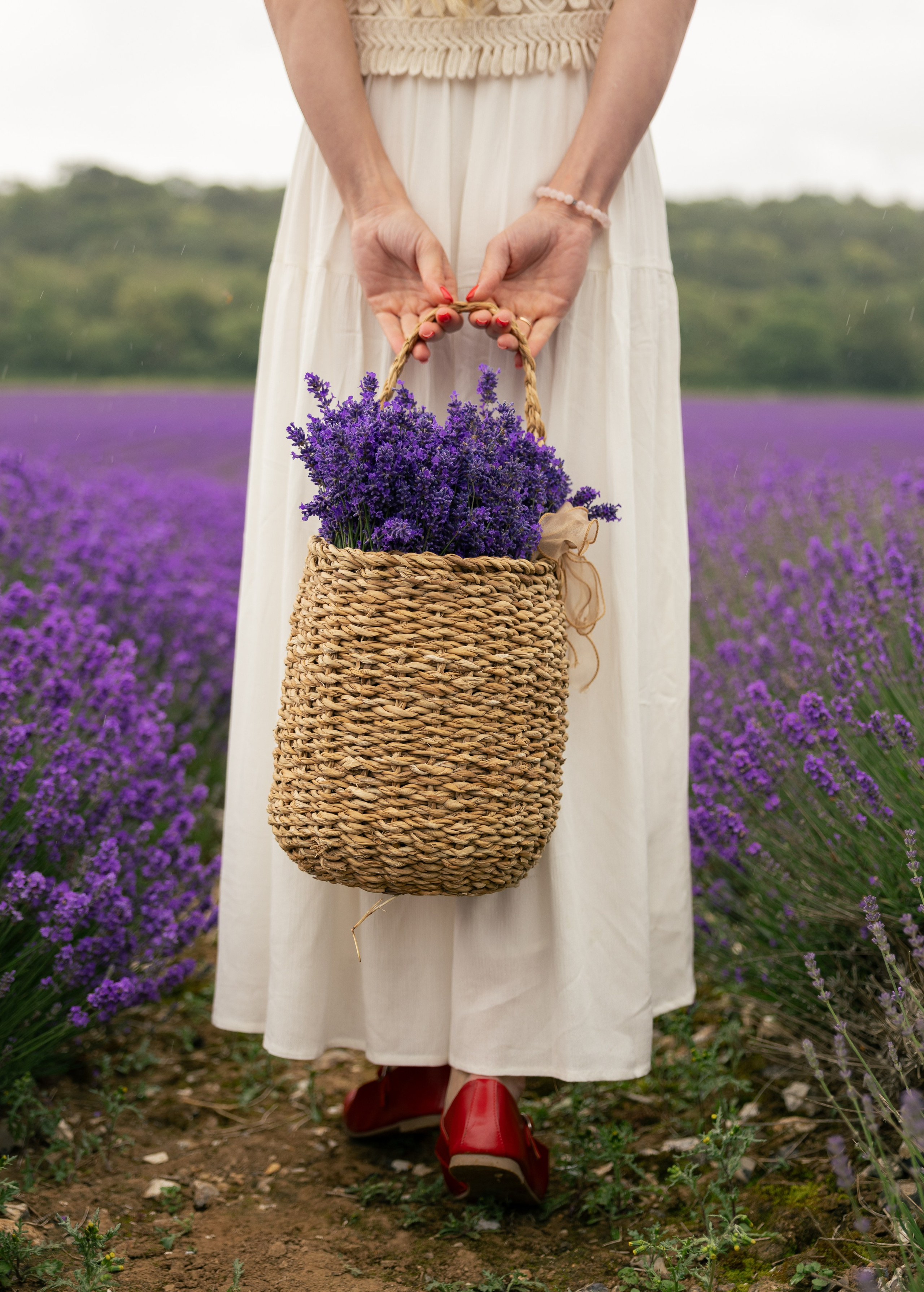 Lavender Picnics. PHOTOGRAPHER IN LONDON
