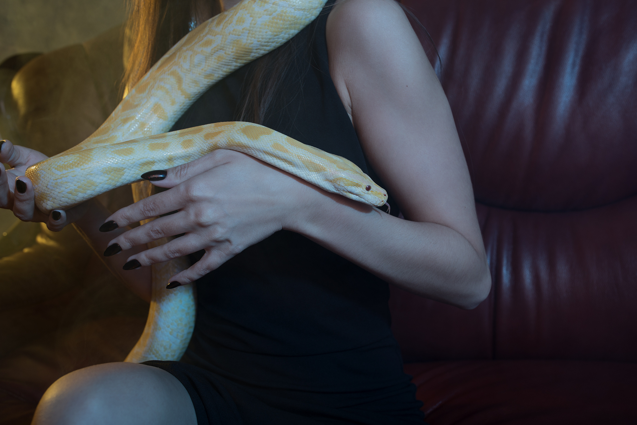 Close-up of woman’s hands holding an albino python — fashion photography detail