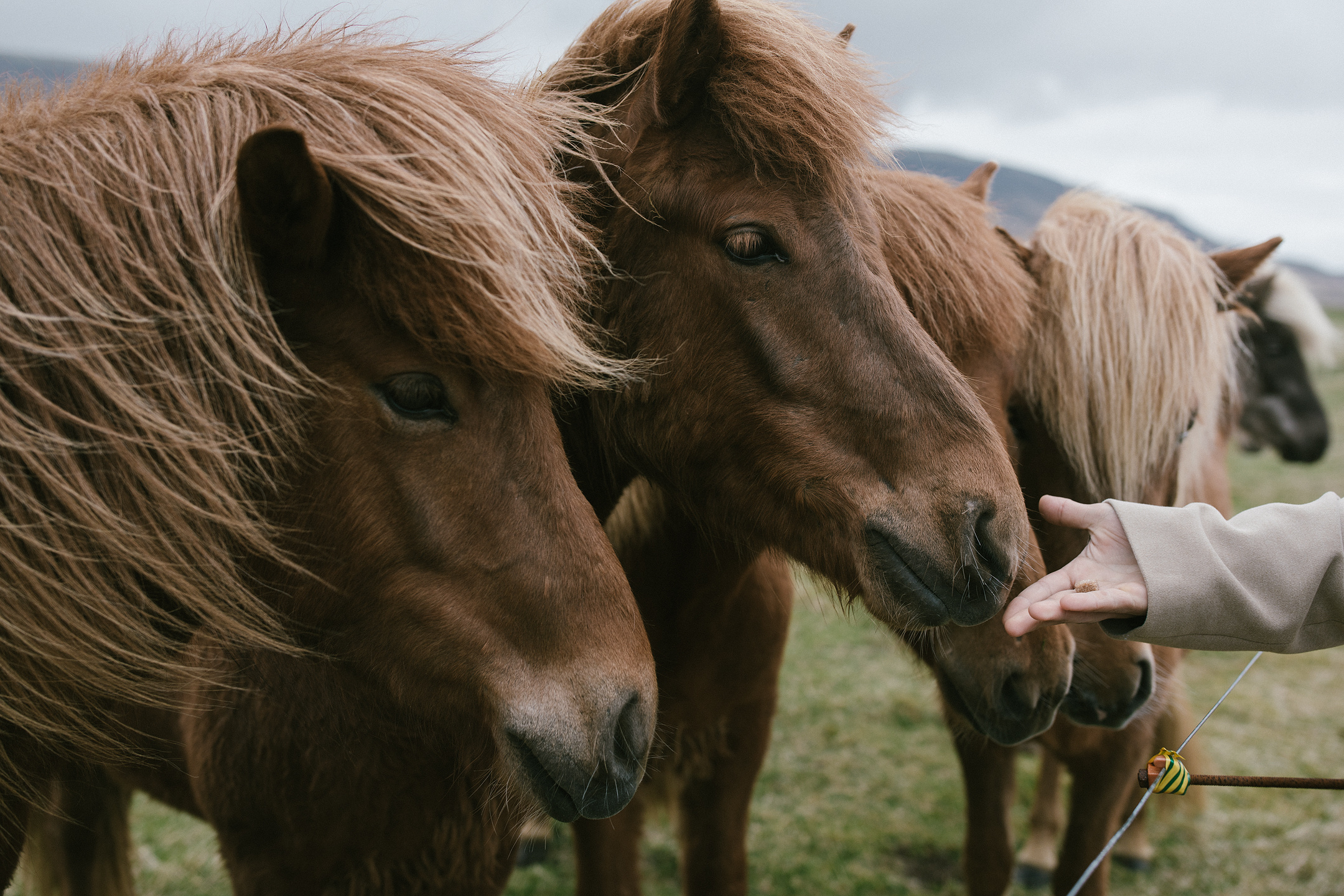 After Wedding Iceland | Gullfoss & Kerid Crater Lake. Lake Constance & Allgäu Wedding Photographer | Liliana Berkut