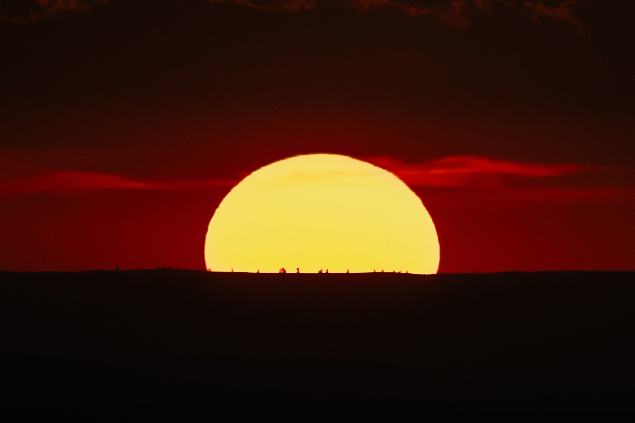 Save the date - Carolina & Alexandru