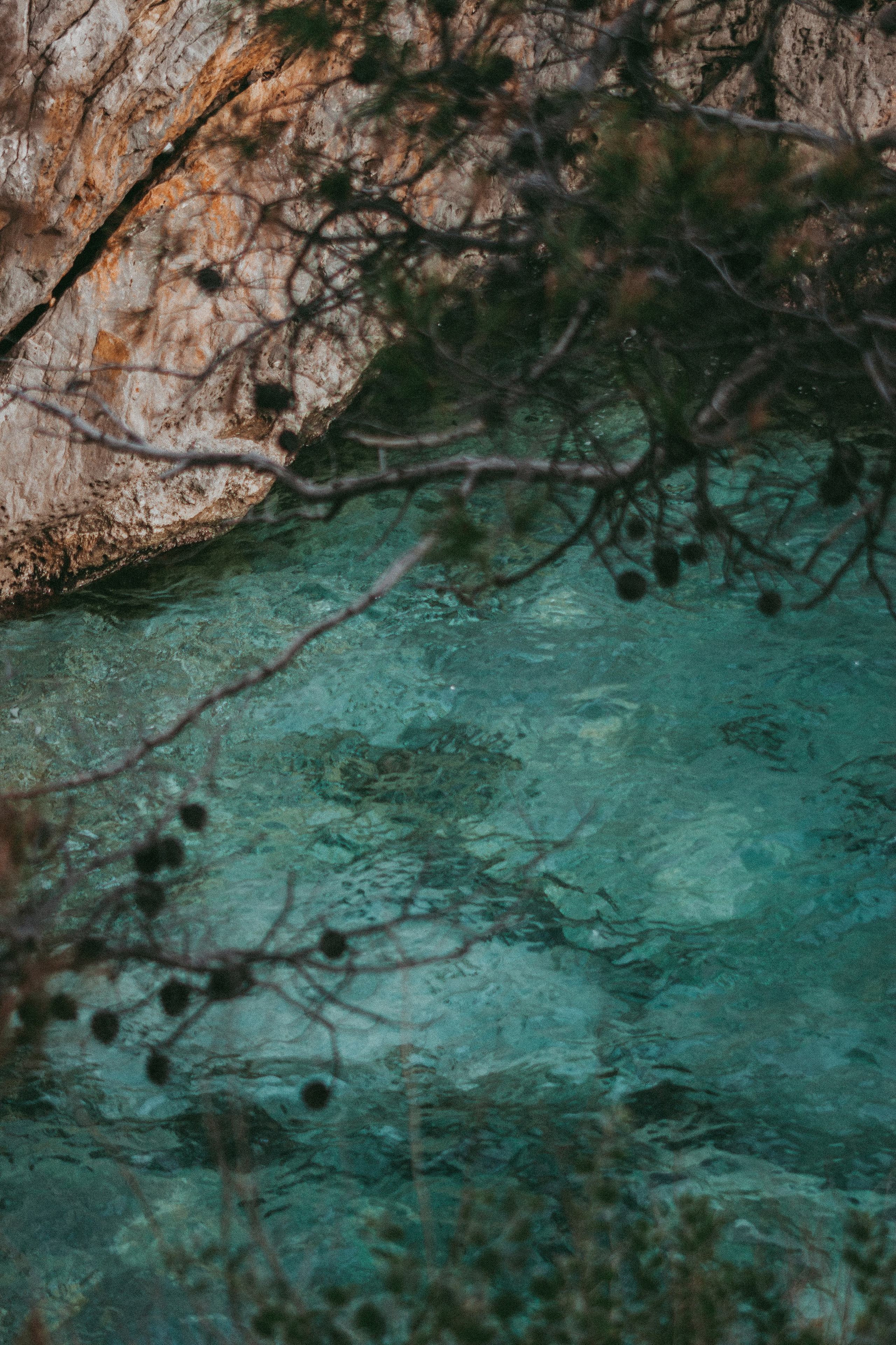 Anse Magaud, Cap Brun, Toulon. Photographe à la Seyne sur Mer, Var