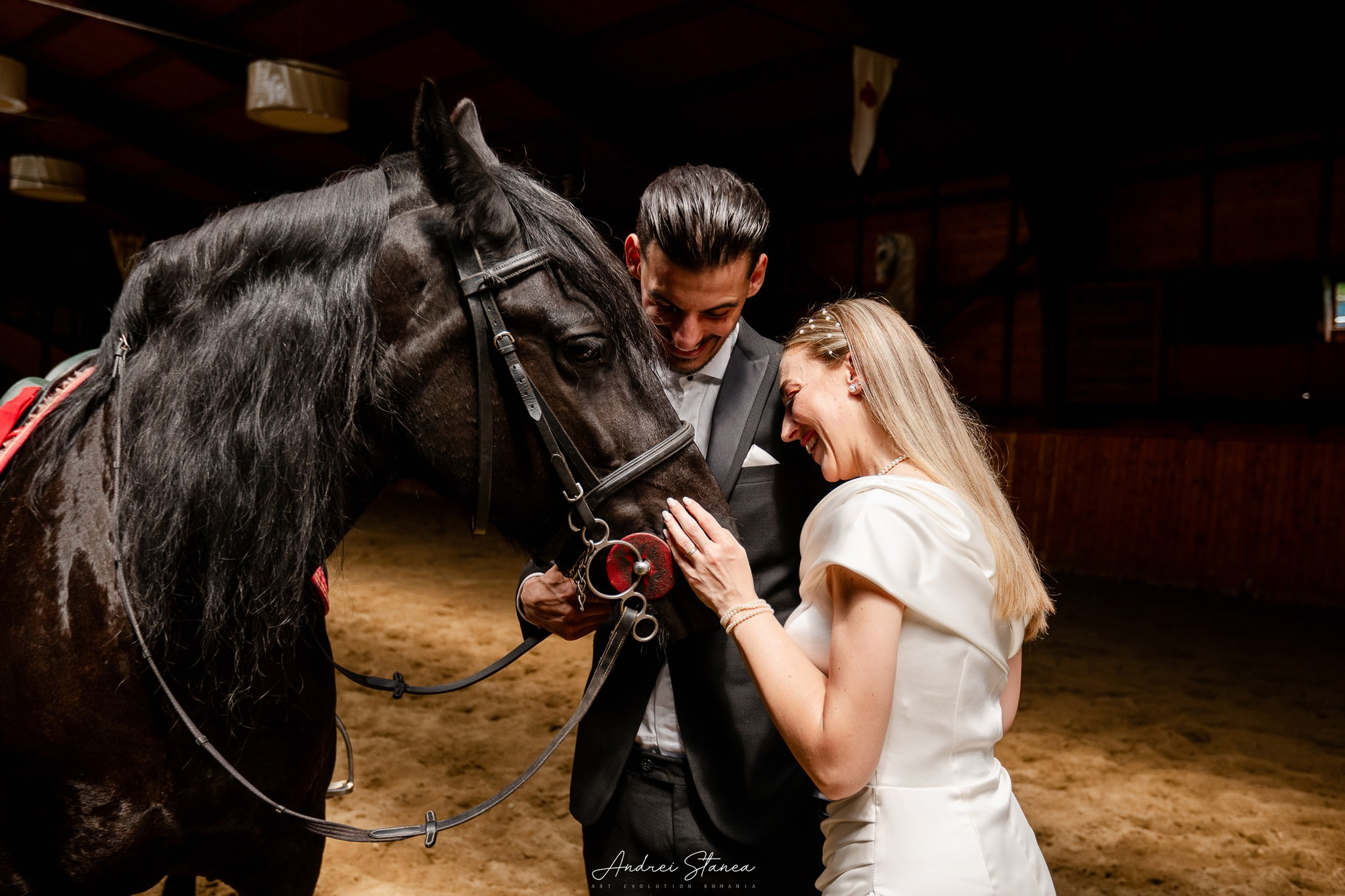 Portofolio. Andrei Stanea