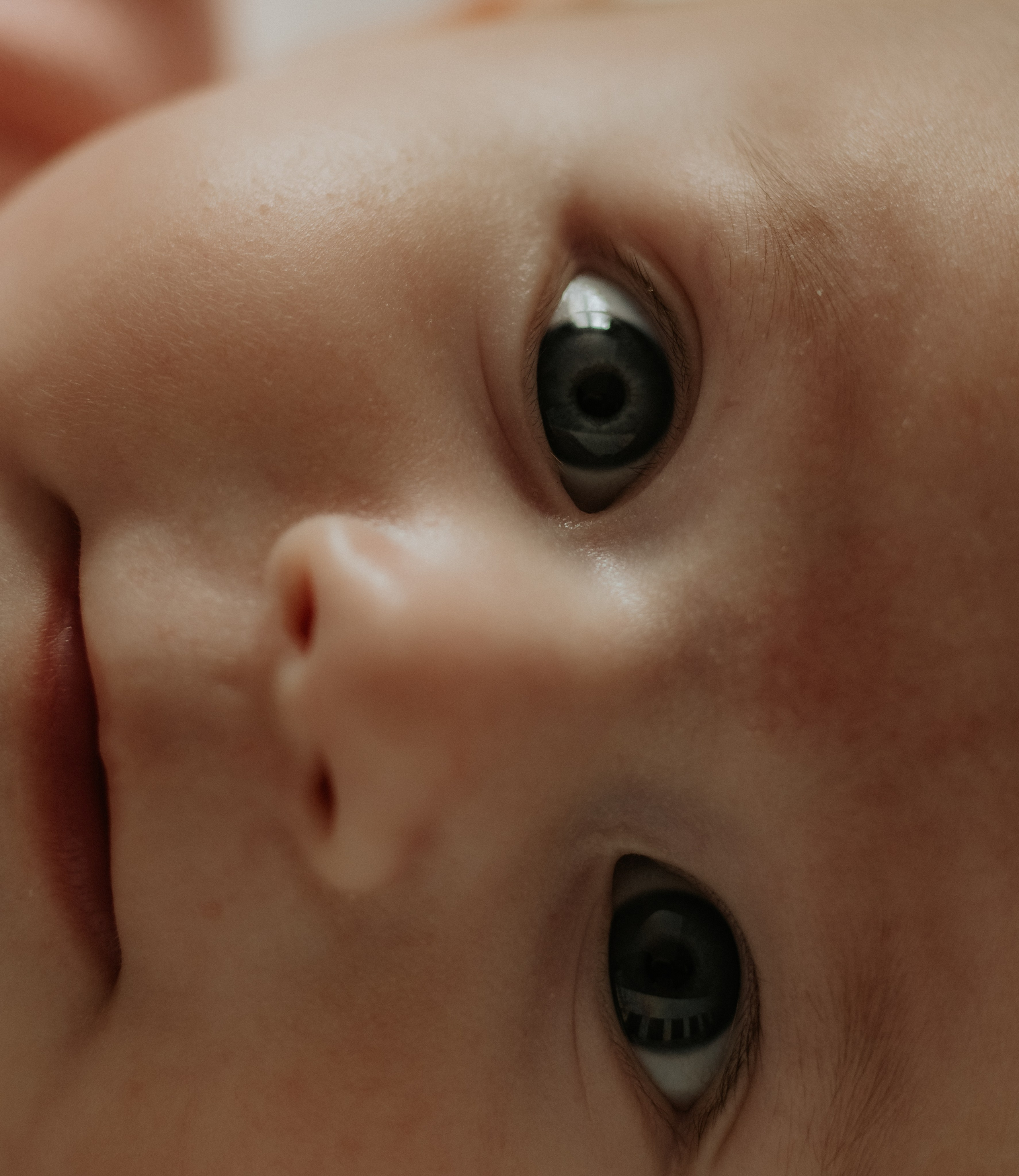 Ingrid. Fotograf si videograf — evenimente si studio