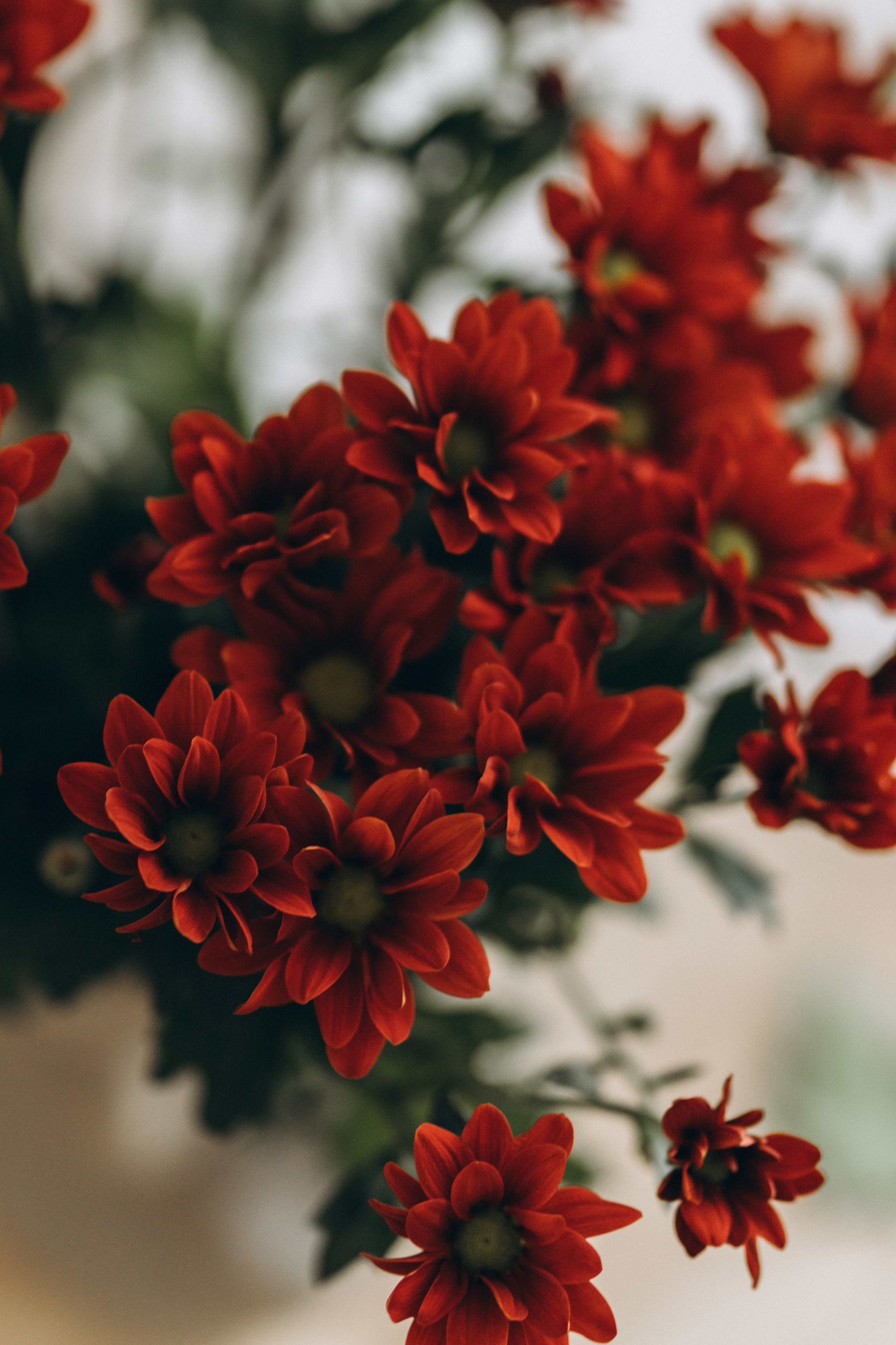 Olga. Wedding and portrait photographer in Helsinki Vickan O