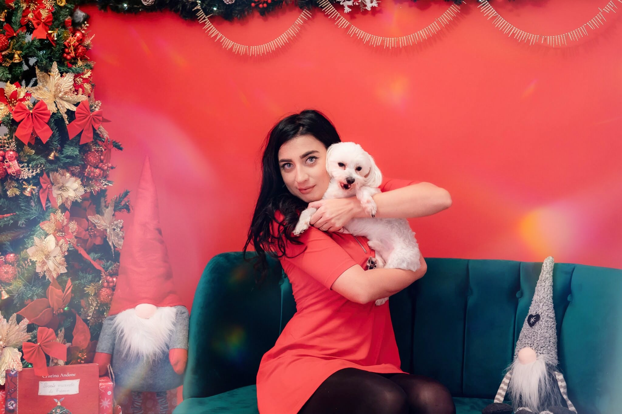 Sedinta Craciun Alexandrina