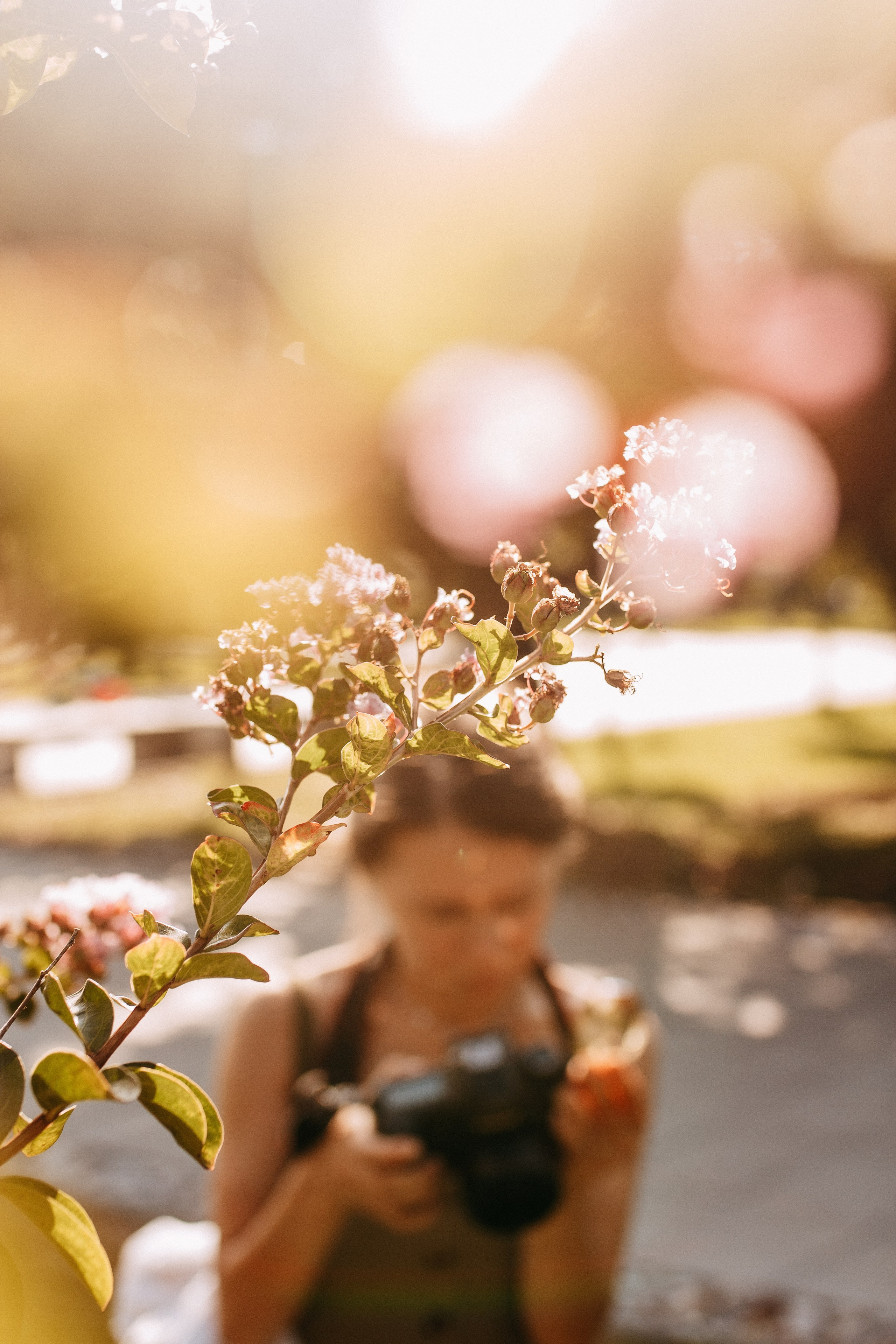 Юля. Свадебный и портретный фотограф в Белграде Екатерина Македонская