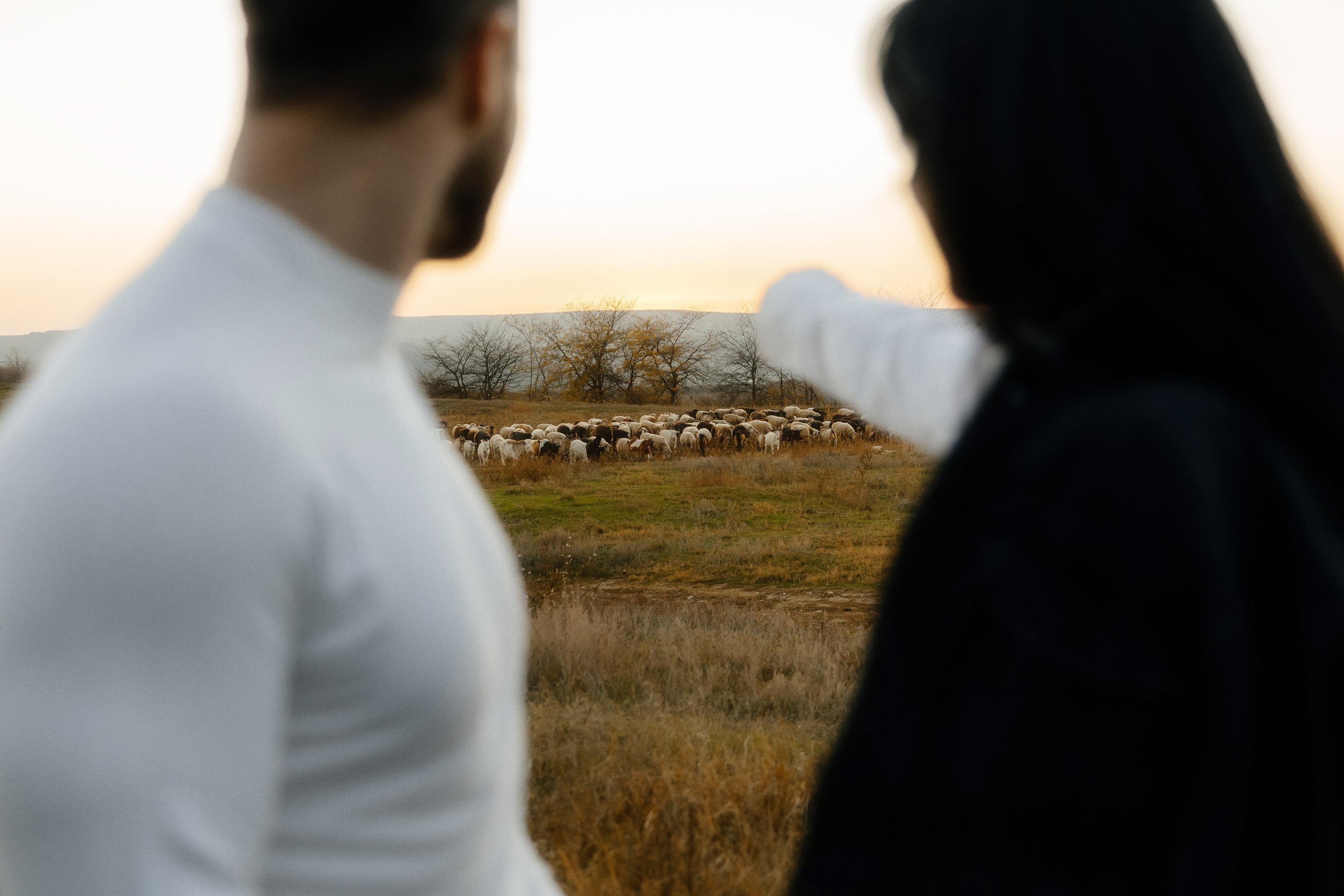 MIHAELA + ANDREI. Fulga Photographer