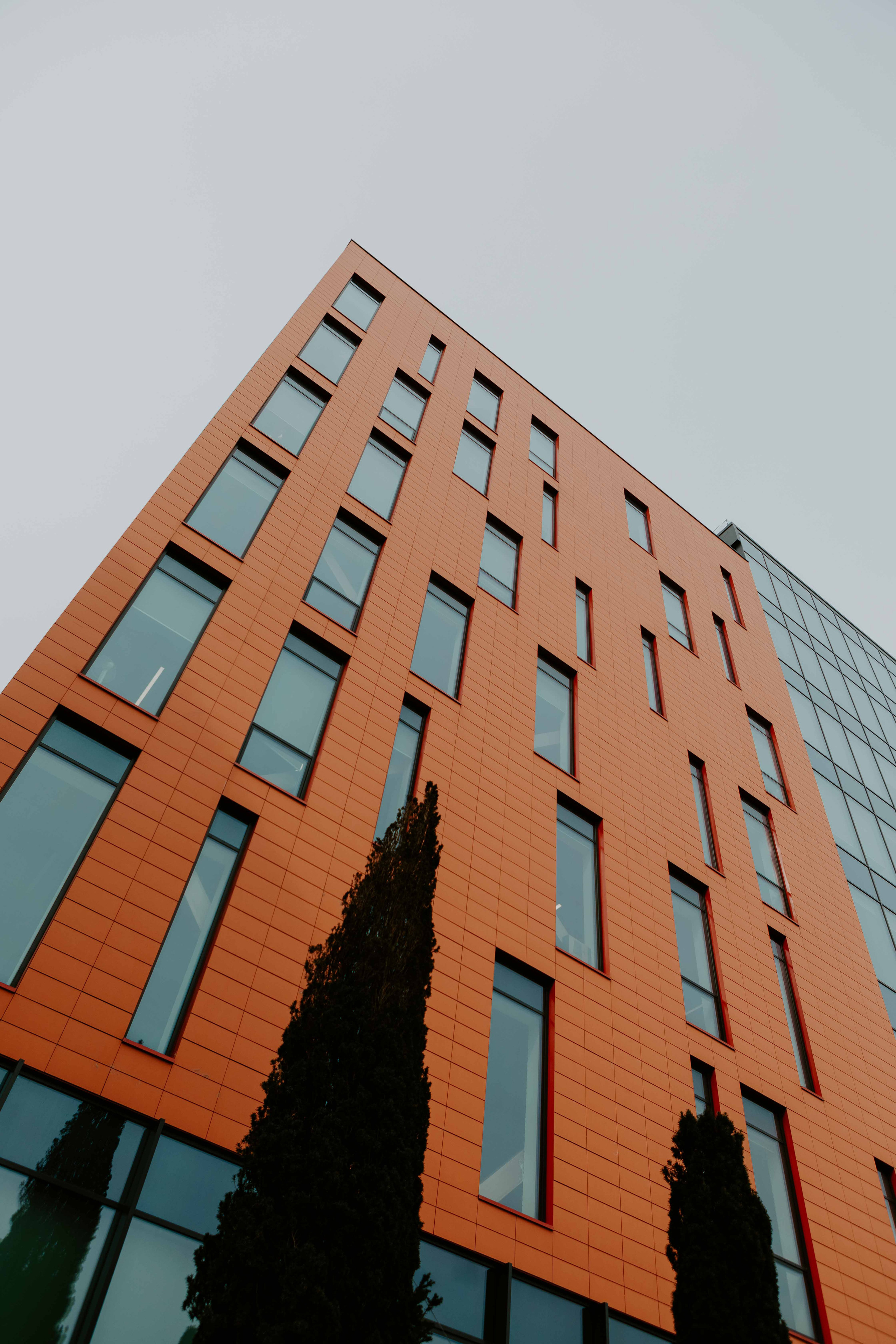 O alta viziune. Fotograf și videograf de nuntă R. Moldova, Romania