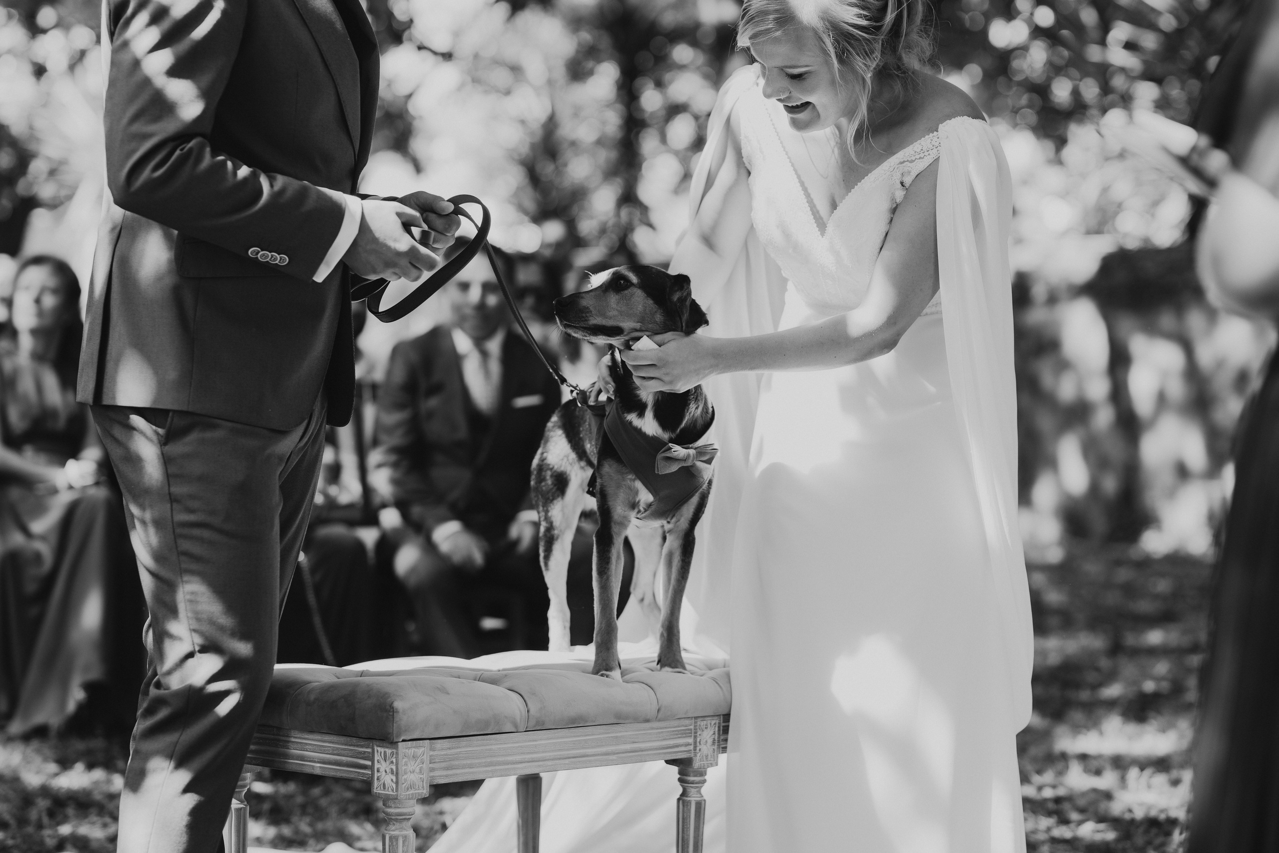 São & Luís. Photographe de mariage et de famille à Braga — Alexandra Mieres Photography