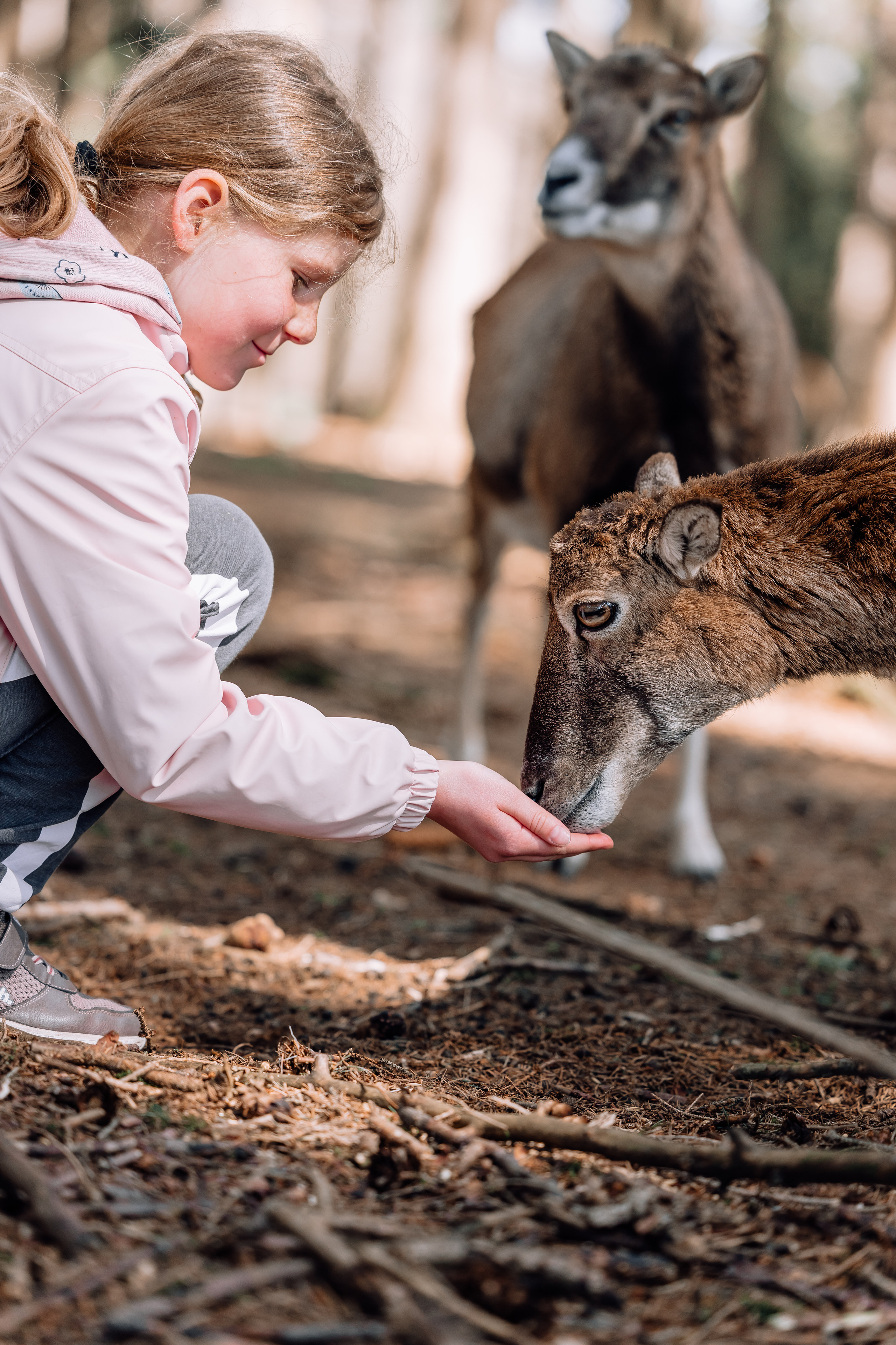 In der Natur. Hochzeitsfotograf München Taufe Familienfotograf Tanja Mauke