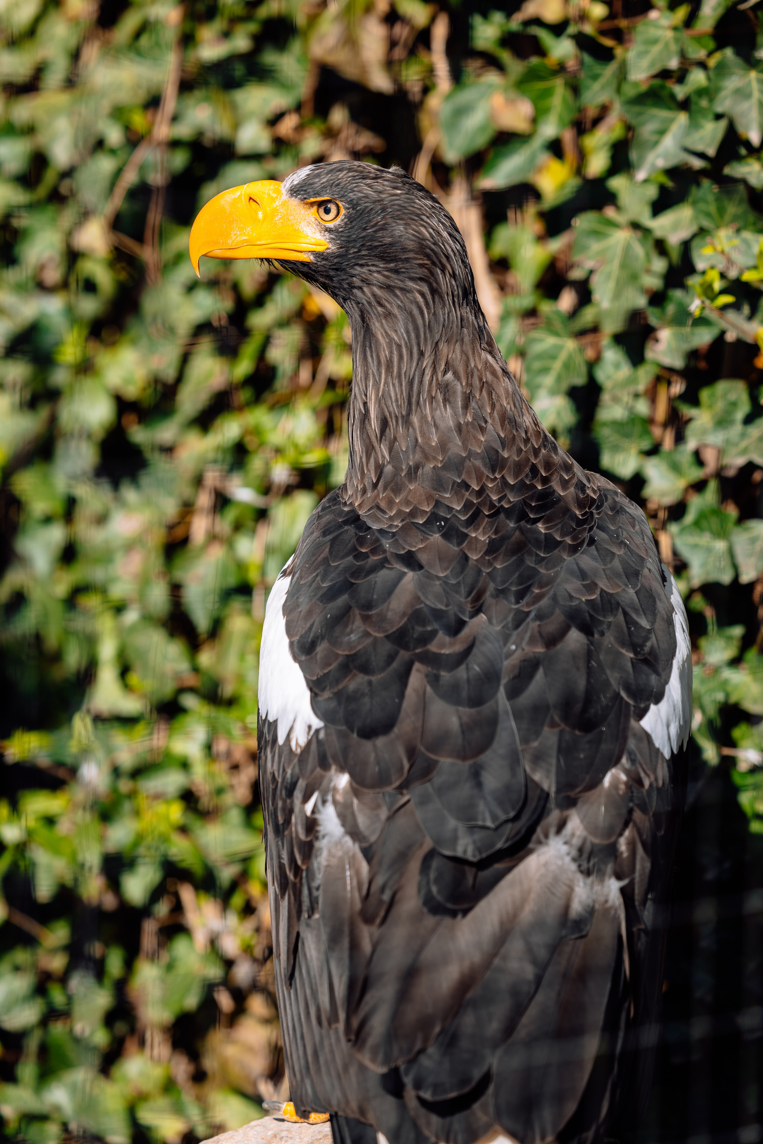In der Natur. Hochzeitsfotograf München Taufe Familienfotograf Tanja Mauke