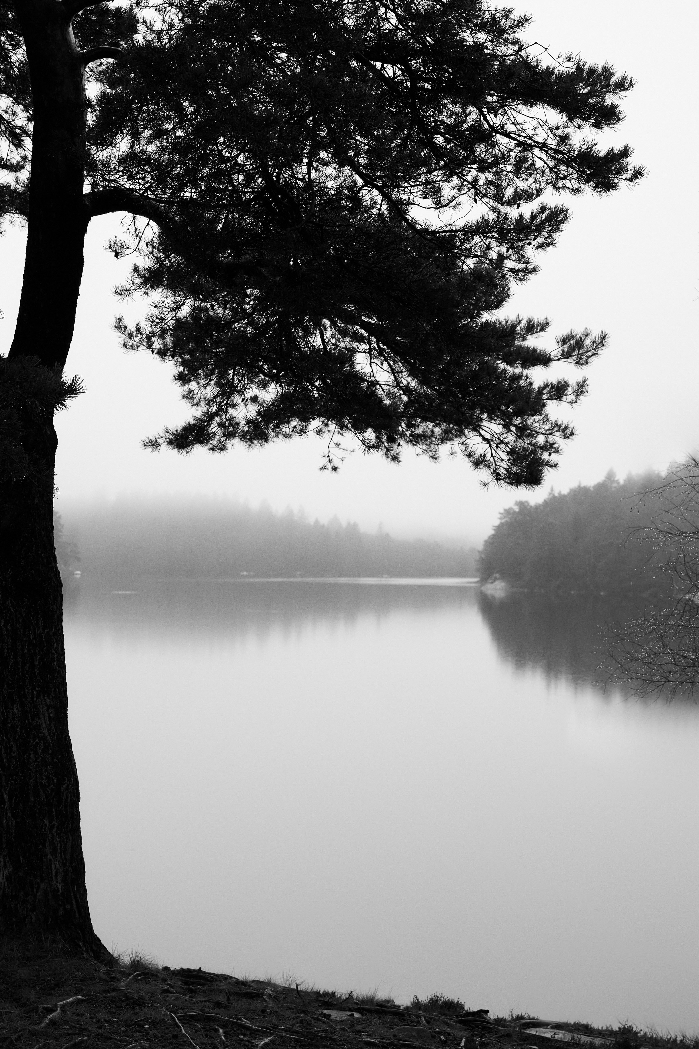 Landscapes by Yury Popkov. Yuri Popkov | Photographer