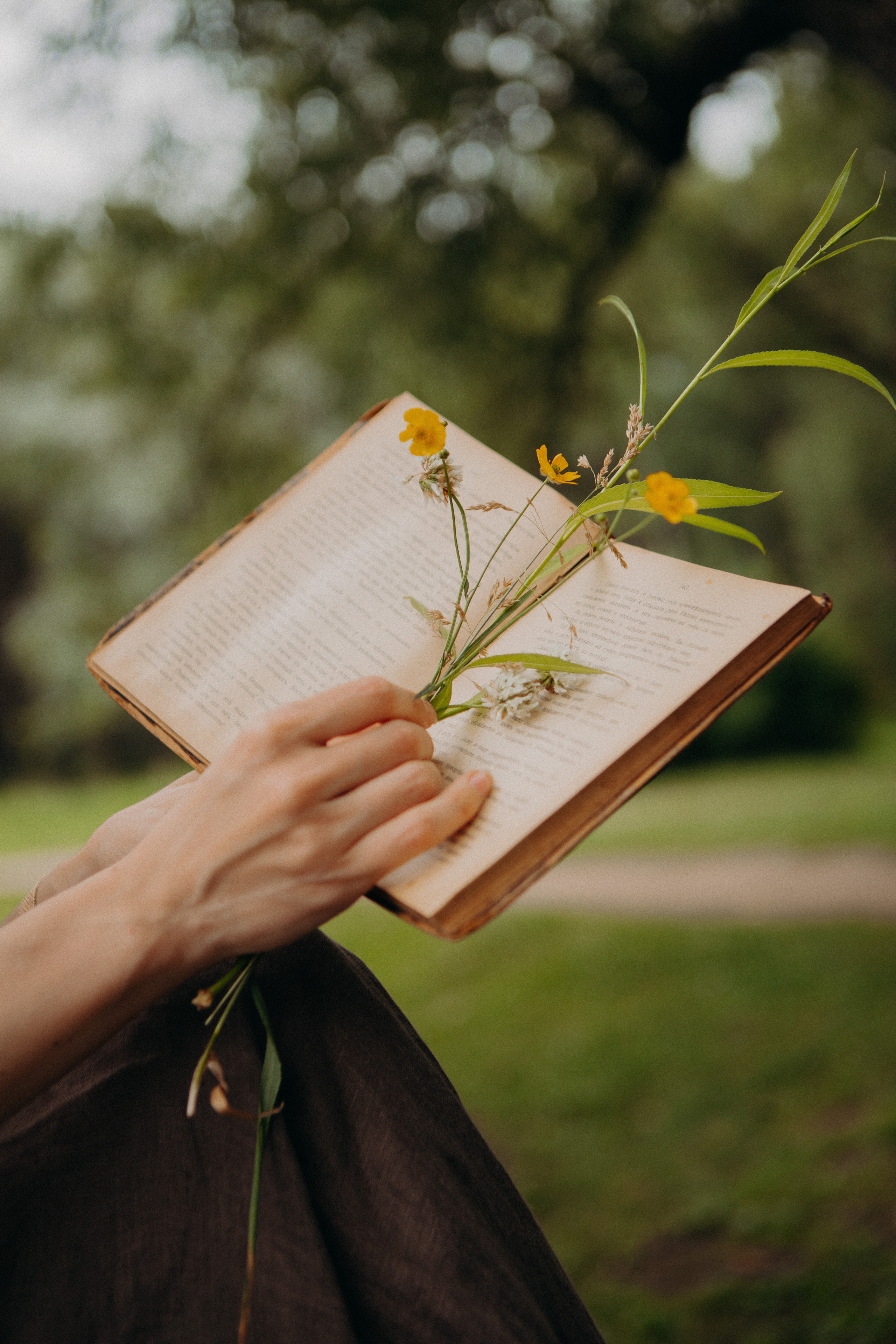 Organic products shop. Photographer Luxembourg