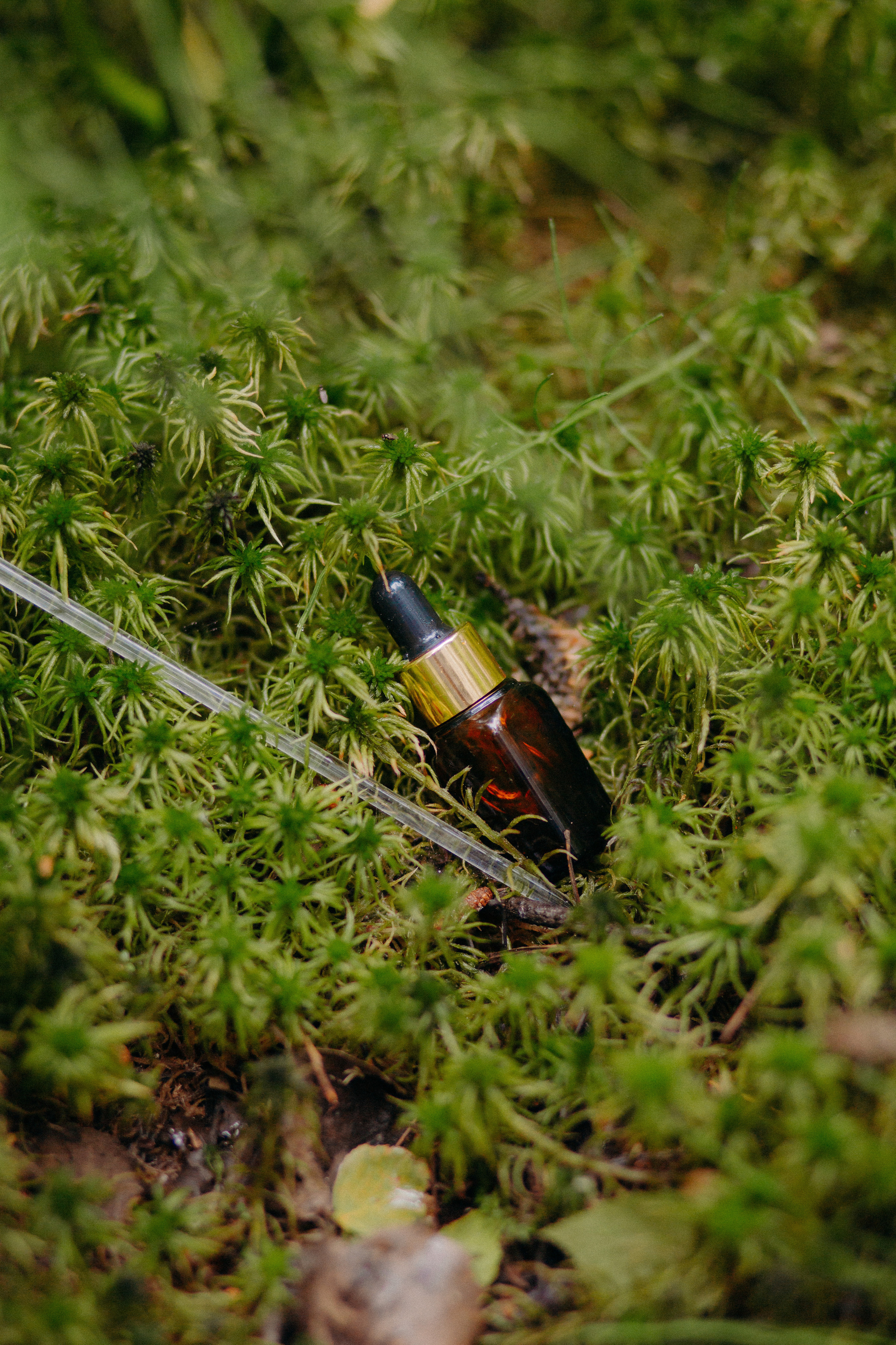 Organic products shop. Photographer Luxembourg