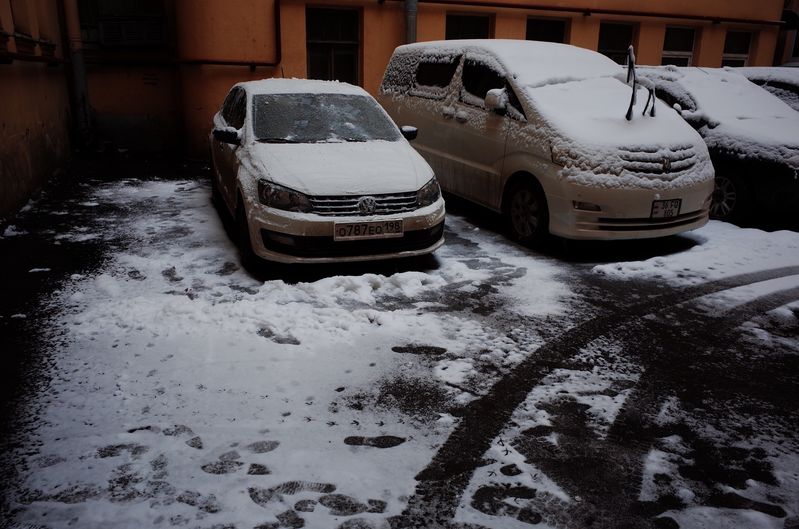 Водный ветер господина Петера. Виктория Дини. Арт-фотография
