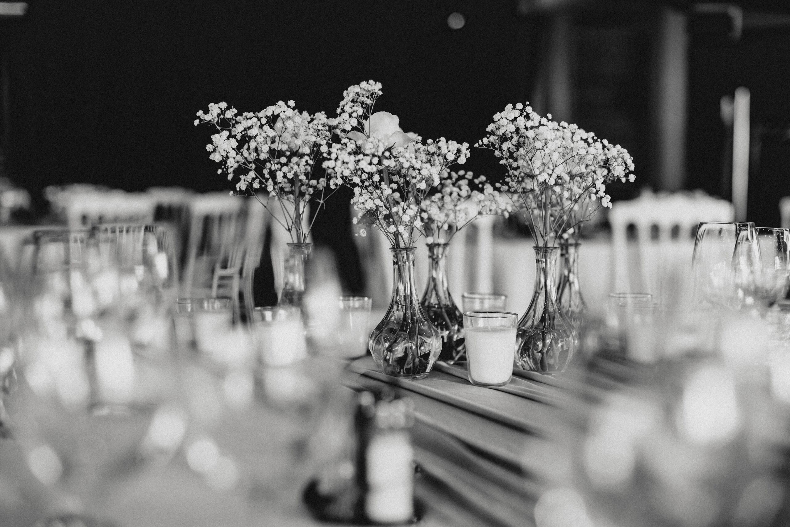 Marina & Paolo. Wedding photographer based in Novi Sad, Marko Milivojevic