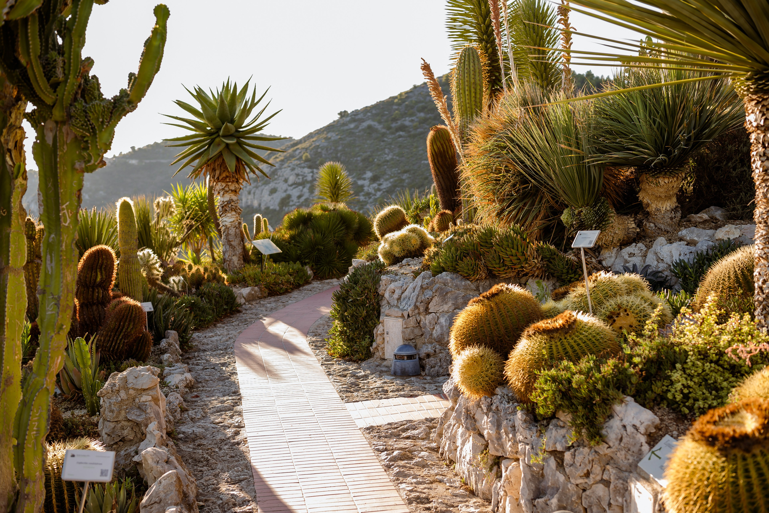 Natalia. Eze. MARIA VALUEVA Photographer in Nice, Cannes, Monaco, France, Europe, Istanbulm Turquie