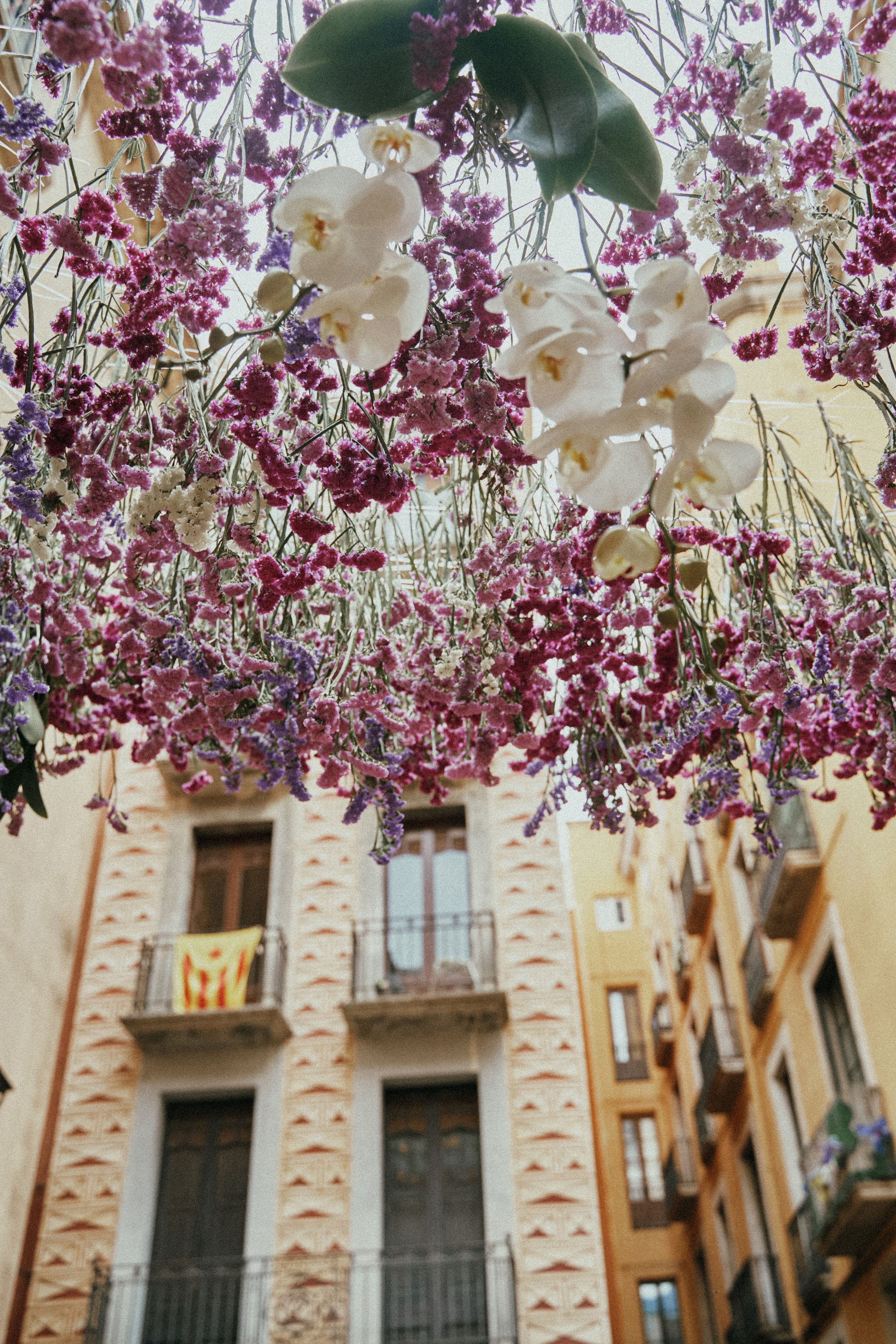 Girona. SPAIN. Фотограф в Барселоне Жанна Захарченко