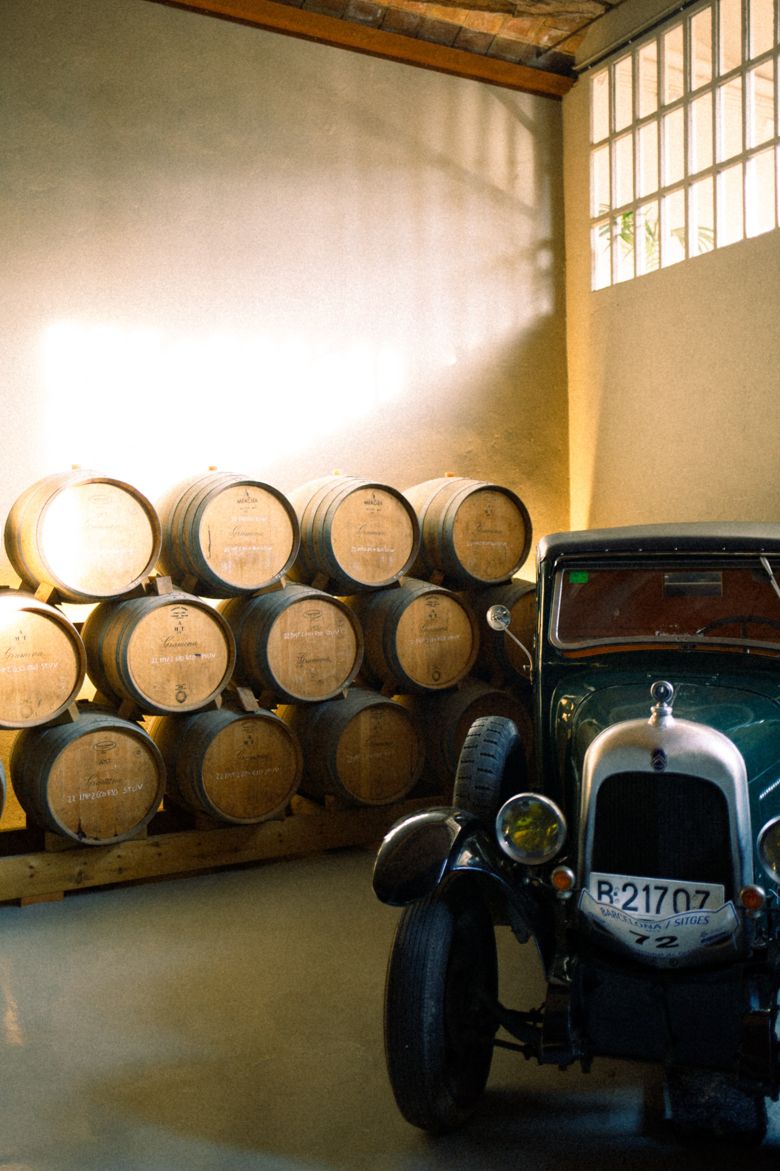 Mi cumpleaños y la bodega. Marina Kálcheva – Photographer, Videographer & Visual Artist in Barcelona