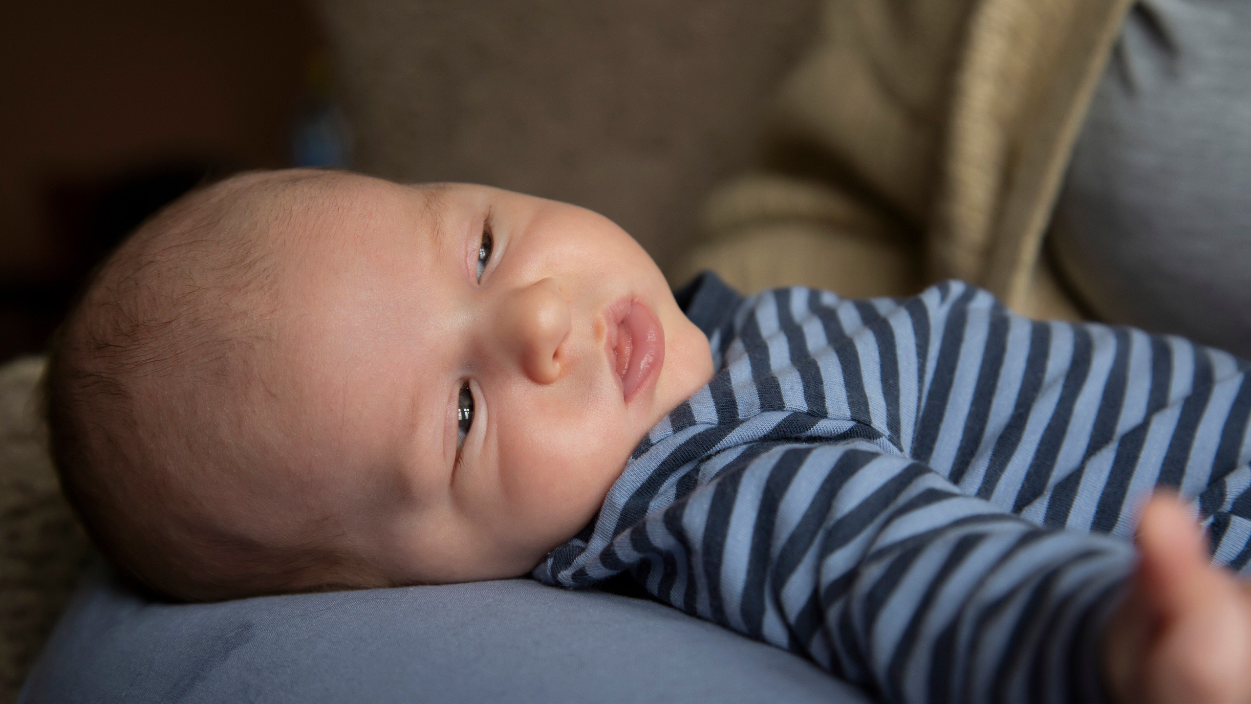 Close-up of newborn's face, with delicate features and innocence shining through