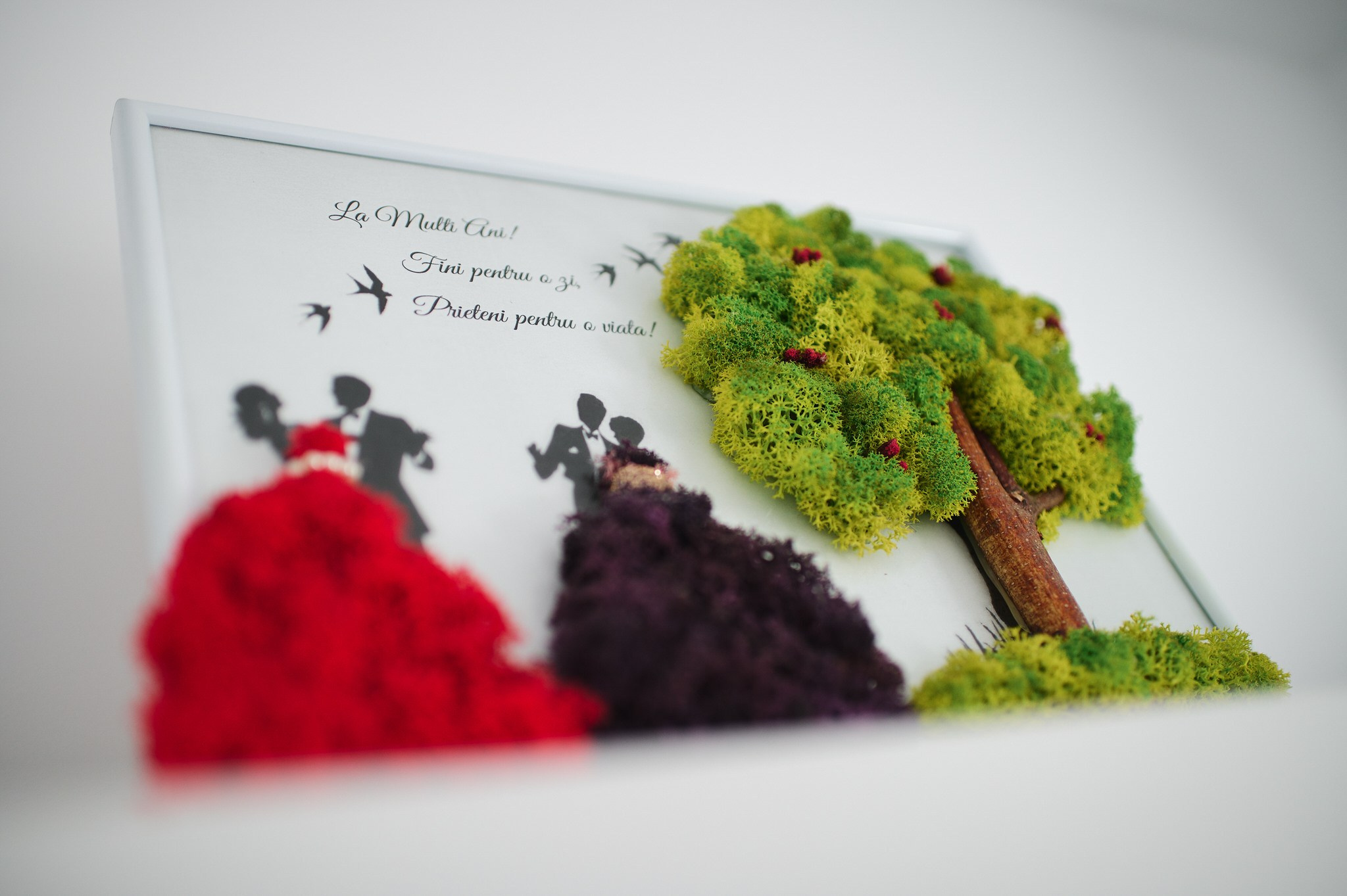 Luca Ioan. Georgescu Alexandru Fotograf