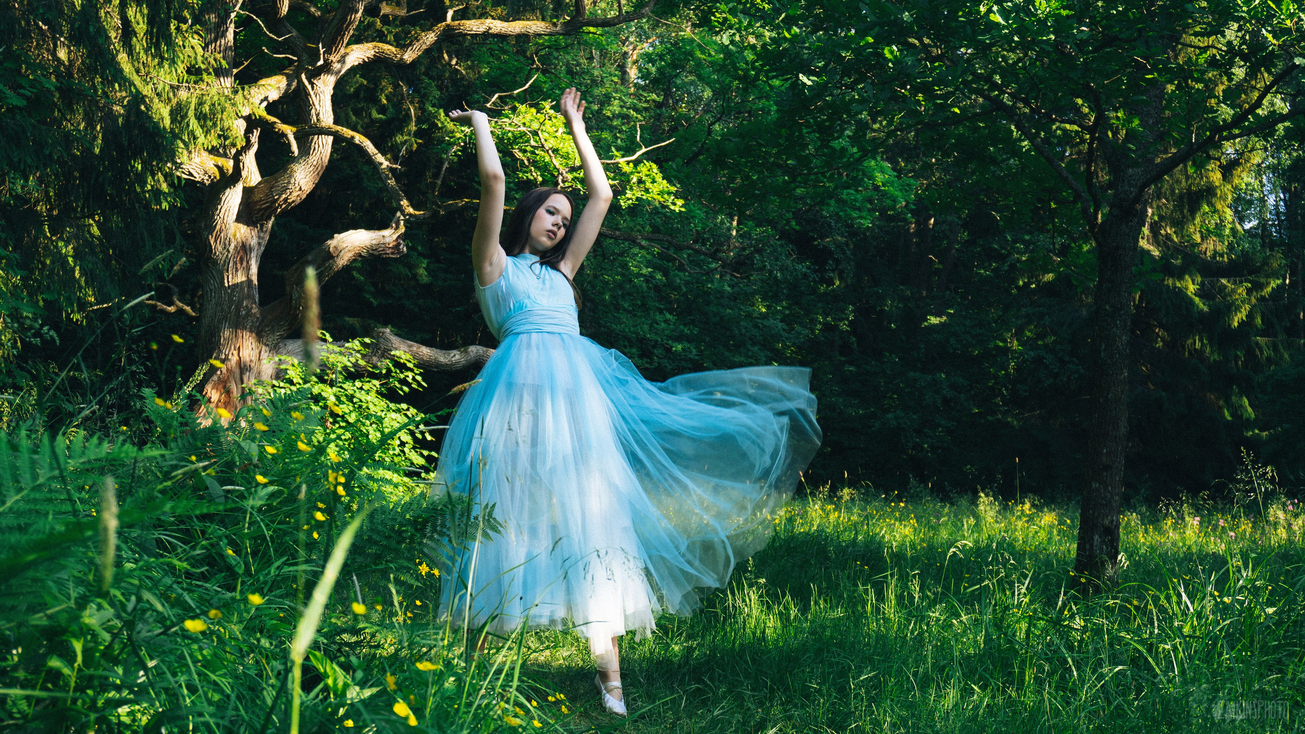 Alice In Wonderland. Main