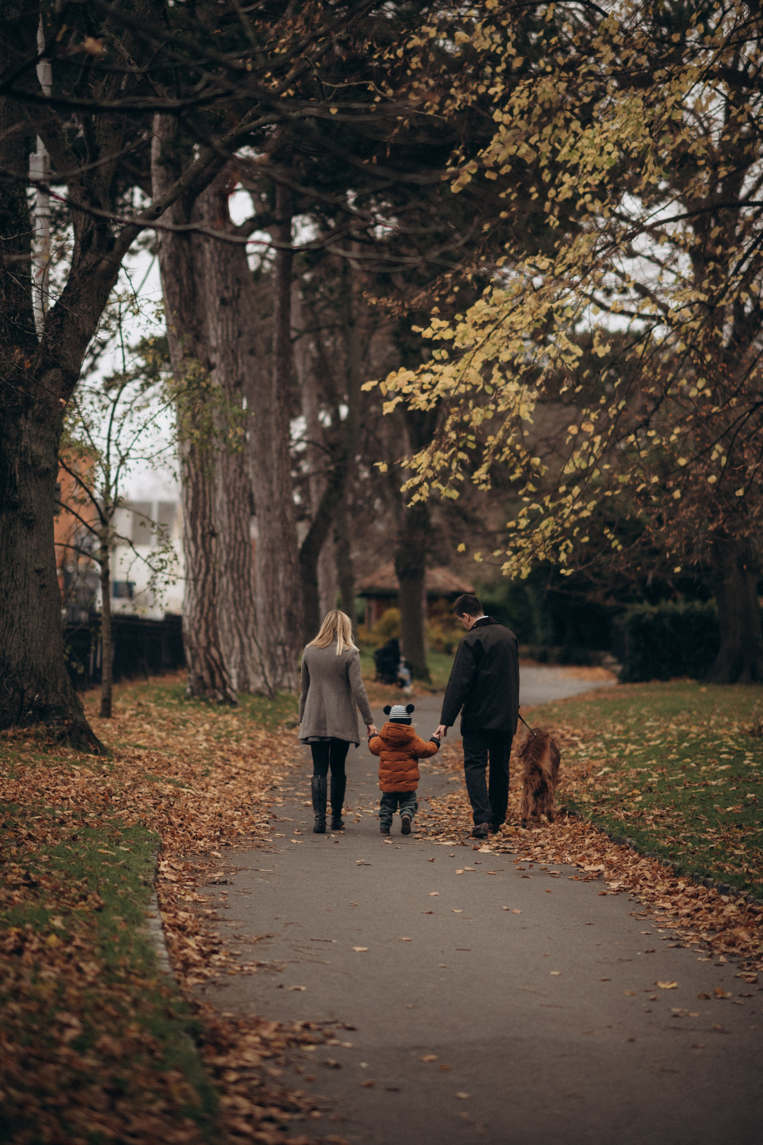 family walking in the park in Dublin ireland