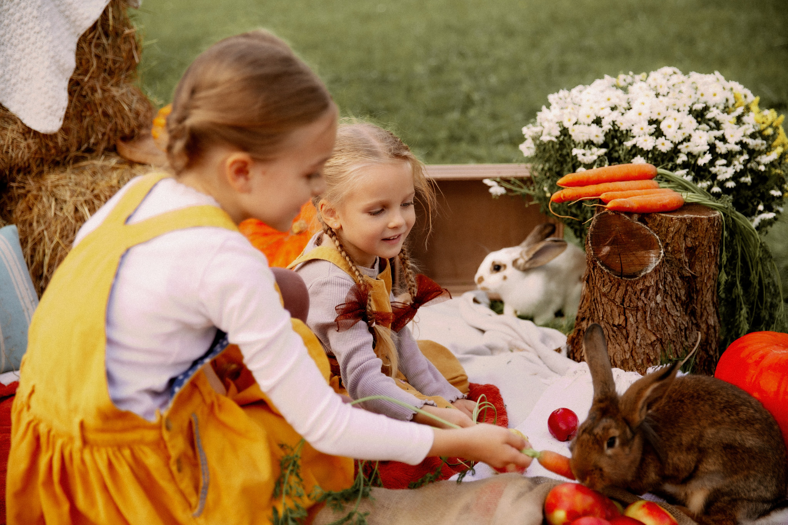 Familien. Huzyk Fotografie. Hochzeits- und Familienfotografin. Freiburg und Umgebung