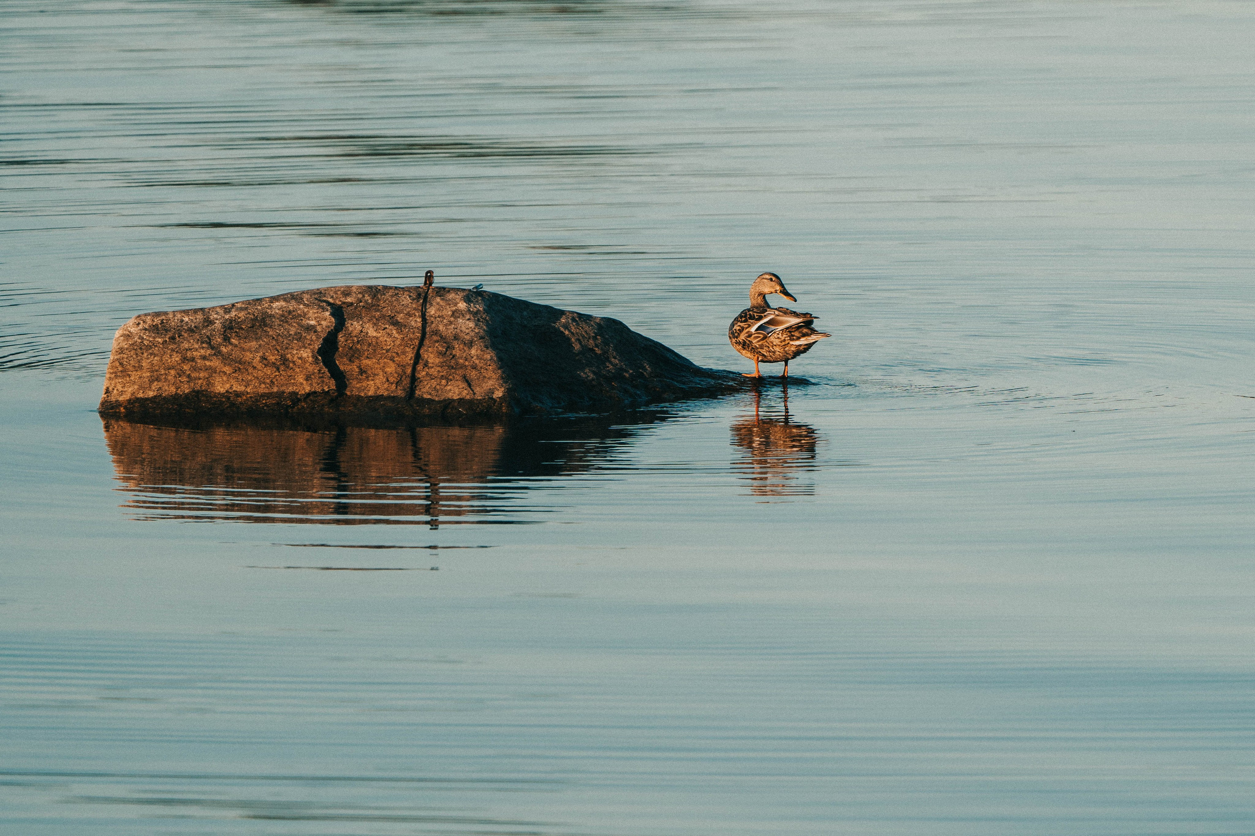 Streetphoto. VEKE MEDIA