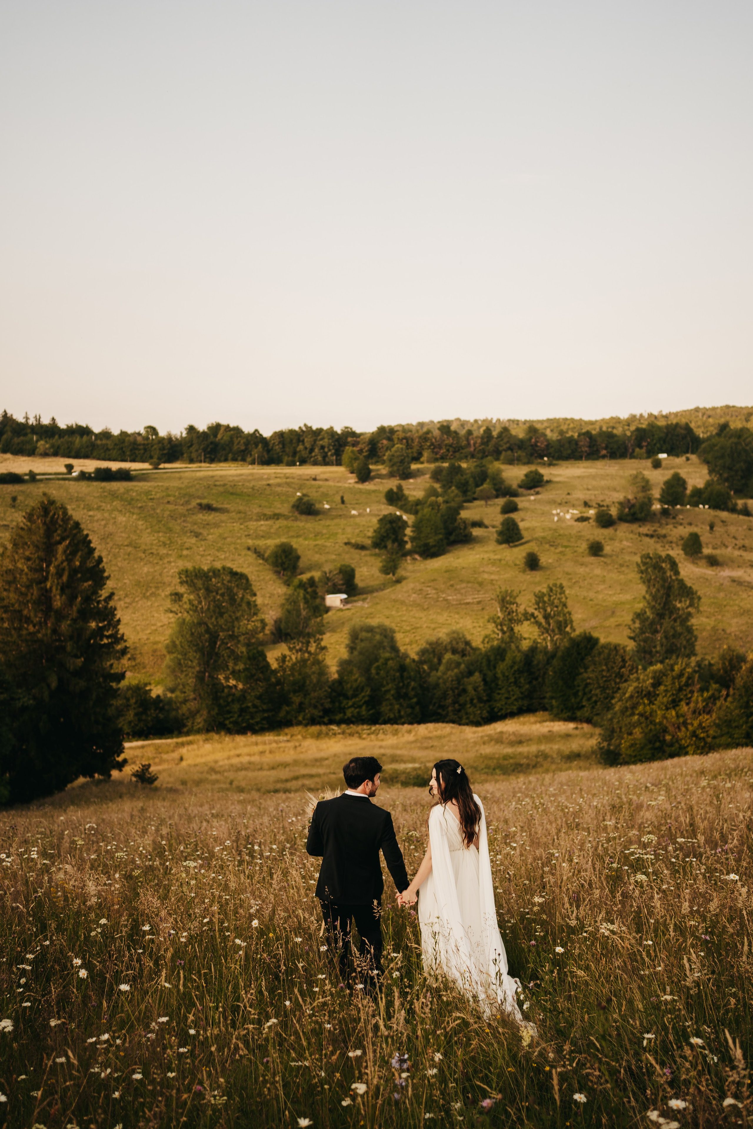 A & A. Fotograf Nunta Iasi - Hearts & Pictures