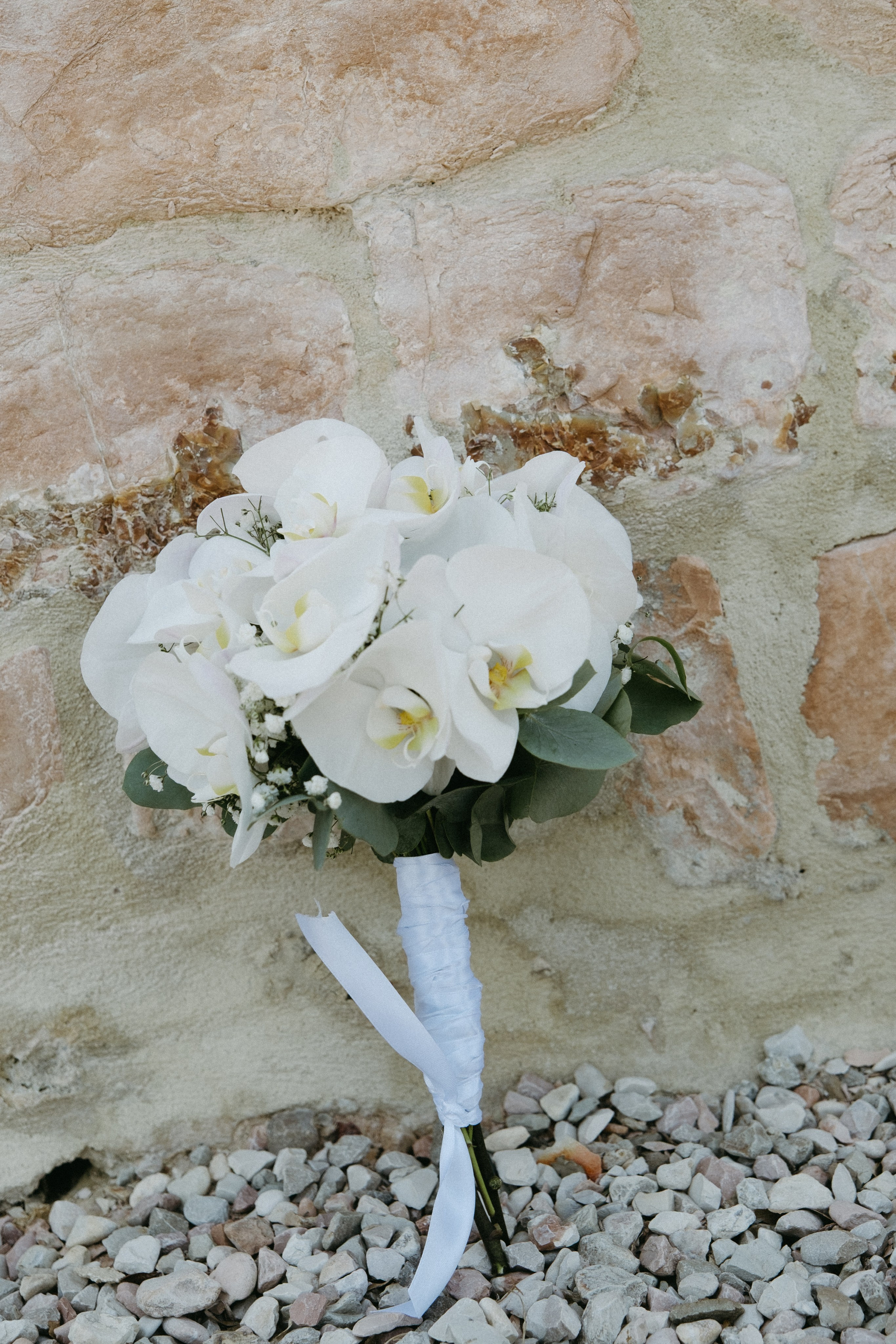 Sofia&Falk. Wedding photographer Italy