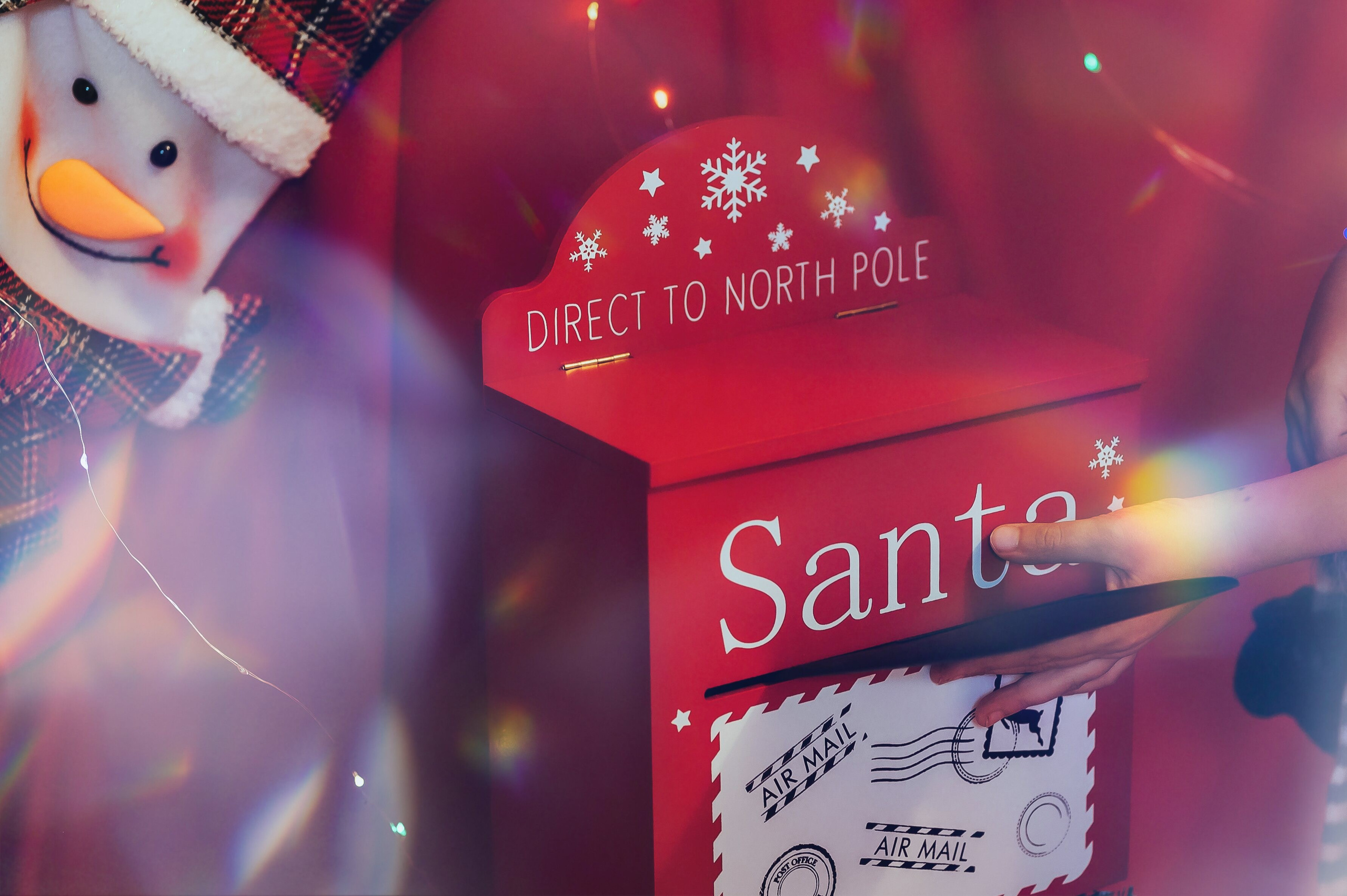 Sedinta Craciun Sofia