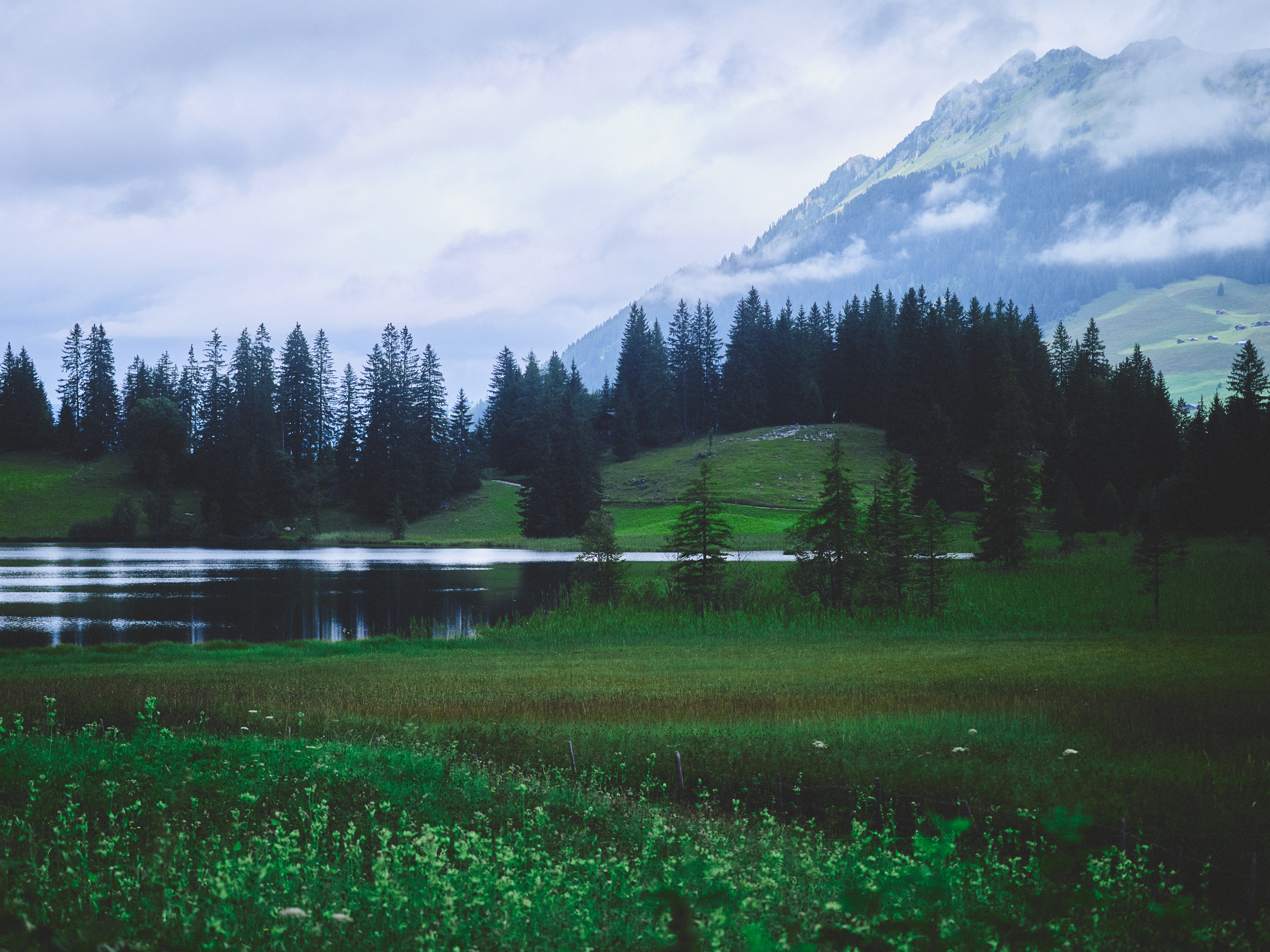 Commercial and studio photographer in Belgrade