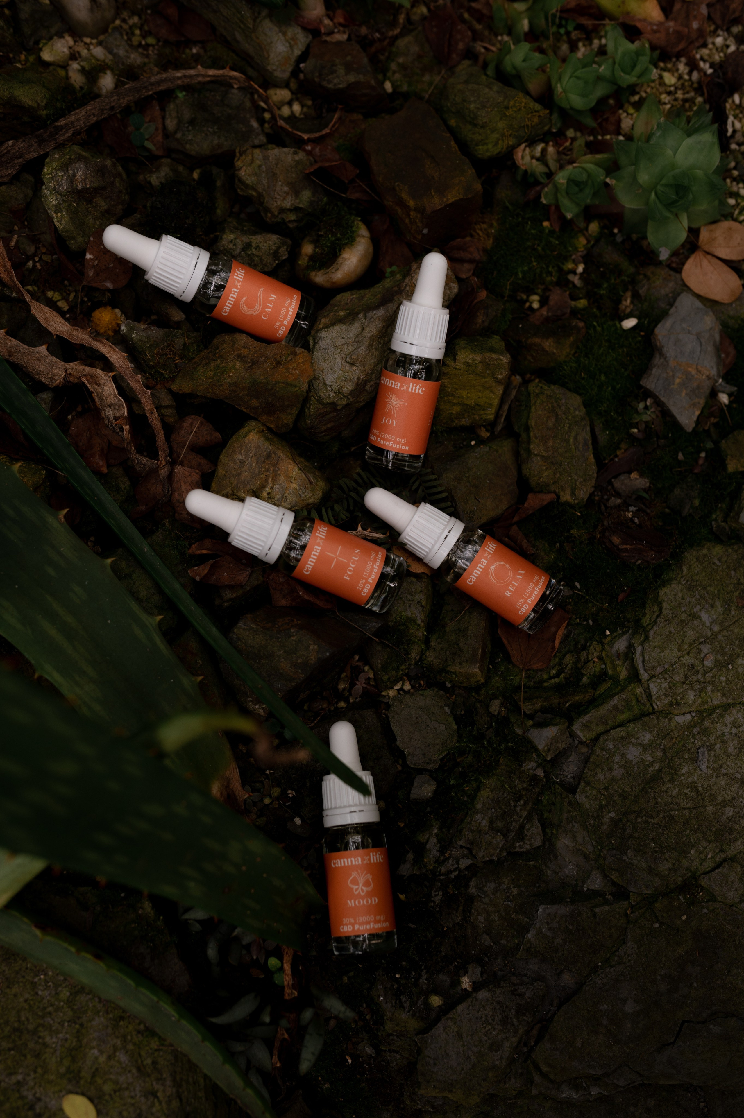 CannaXlife CBD products. ANNA-MARIA PHOTO CONTENT CREATOR — фотограф, естет, художник і візуальний експерт Instagram у Празі