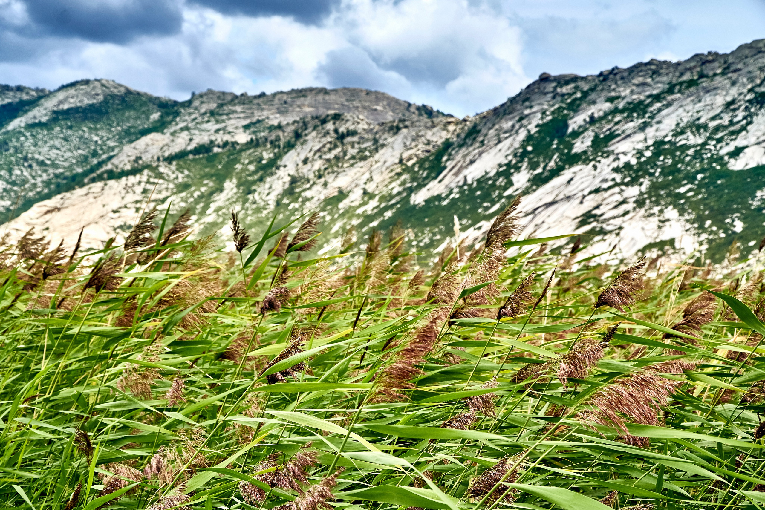 Sibiny (Kazachstan). Andriej Szypilow — Photography & Videography