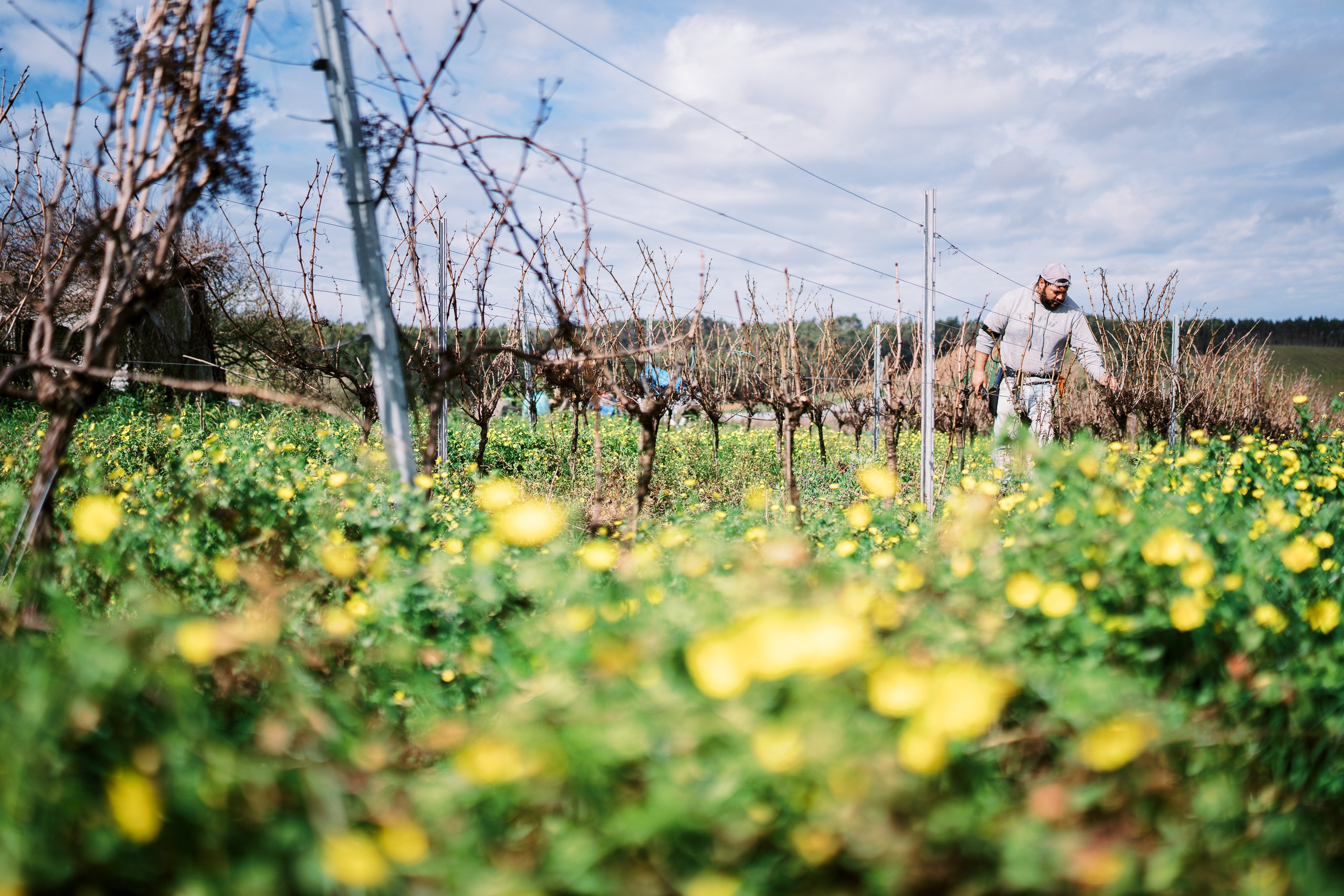 Produtora de Vídeo e Fotografia Cinematográfica | Beyond Creative 20 Portugal Lisboa
